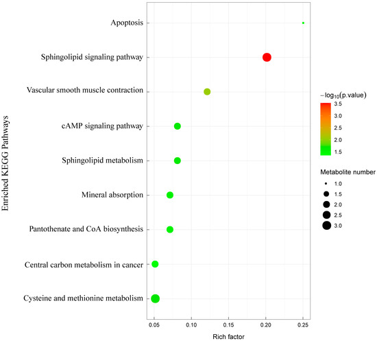 Animals 14 03117 g007