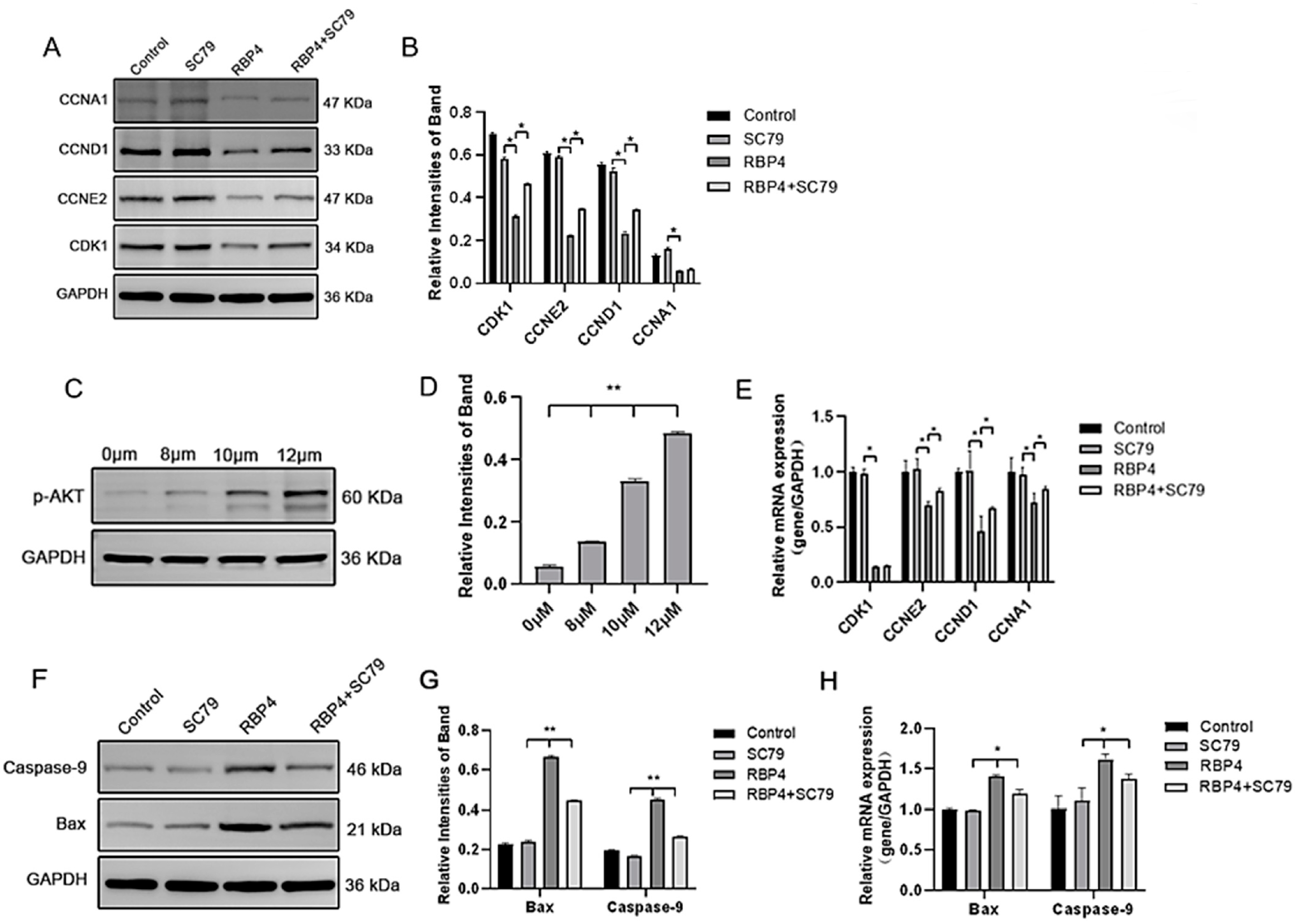 Animals 14 03118 g008