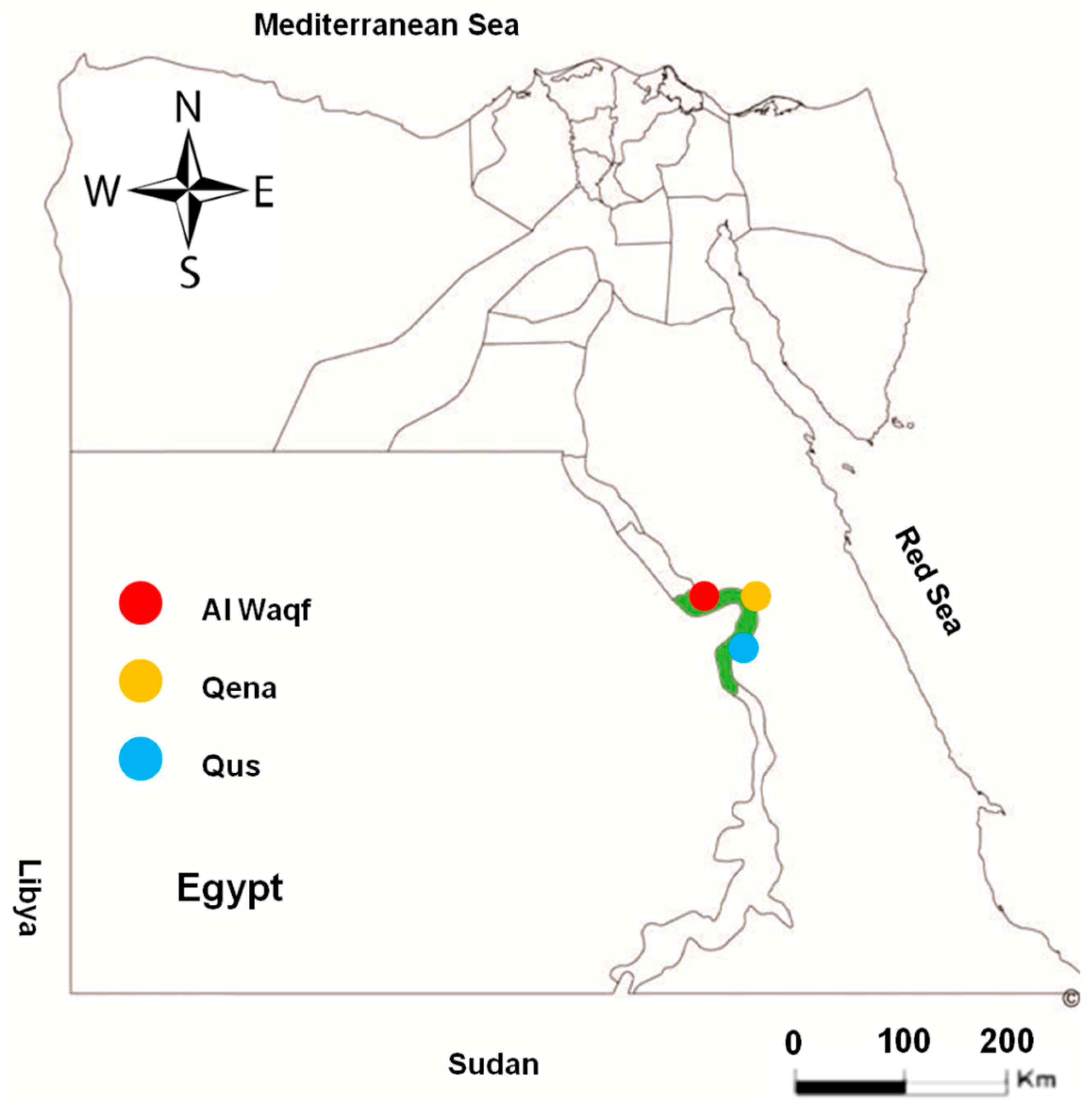 Animals 14 03122 g001