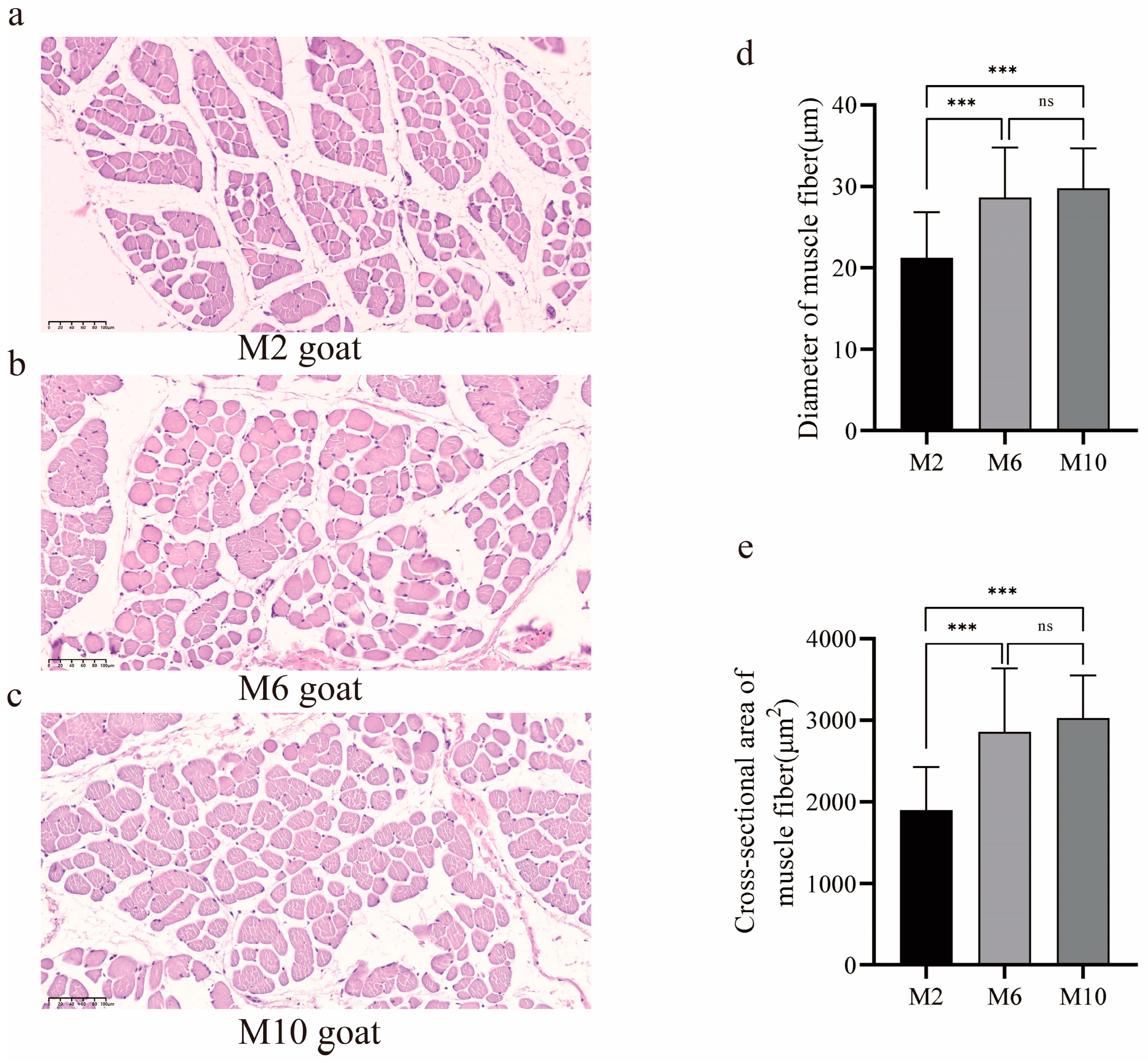 Animals 14 03125 g001