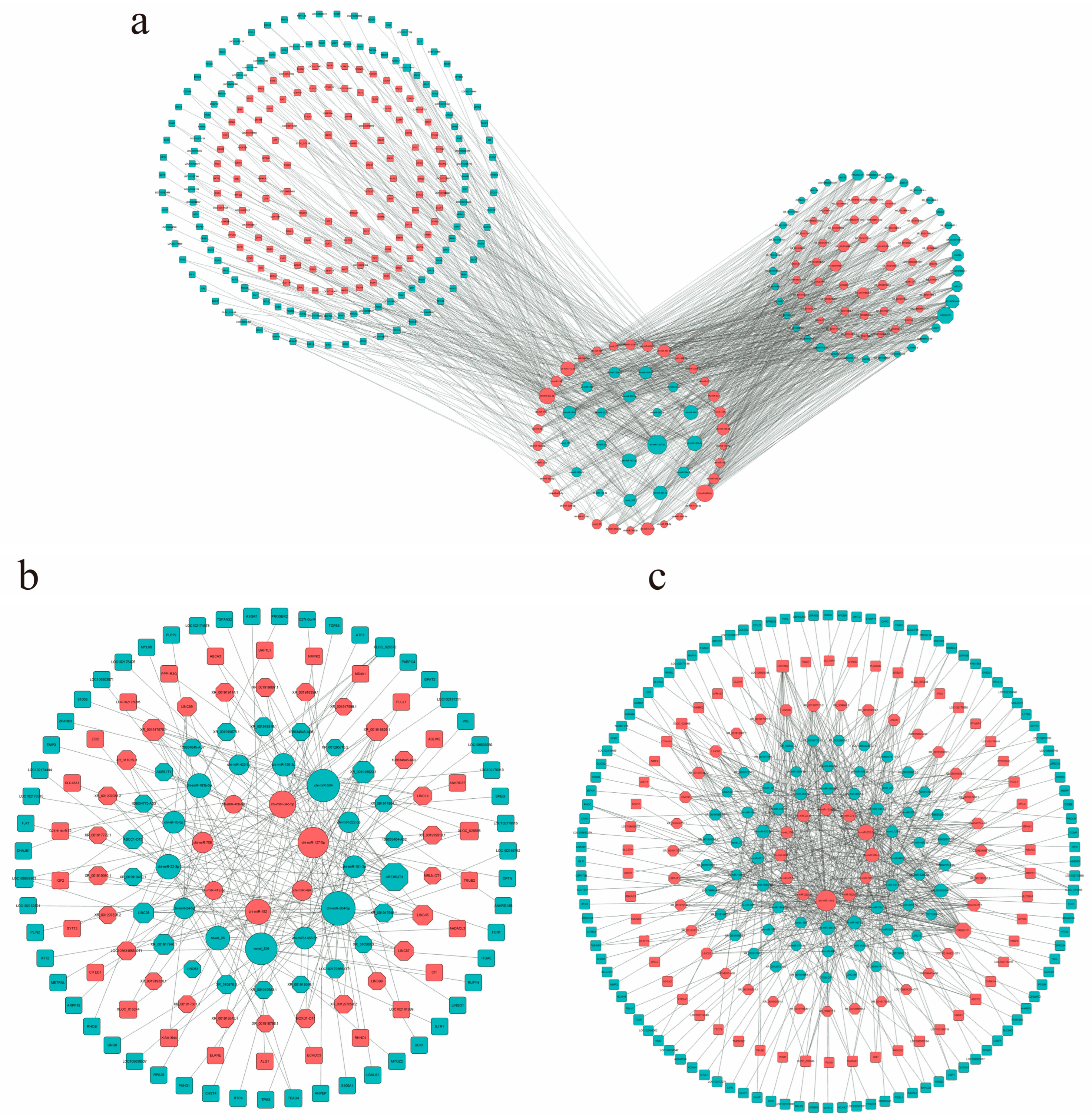 Animals 14 03125 g005