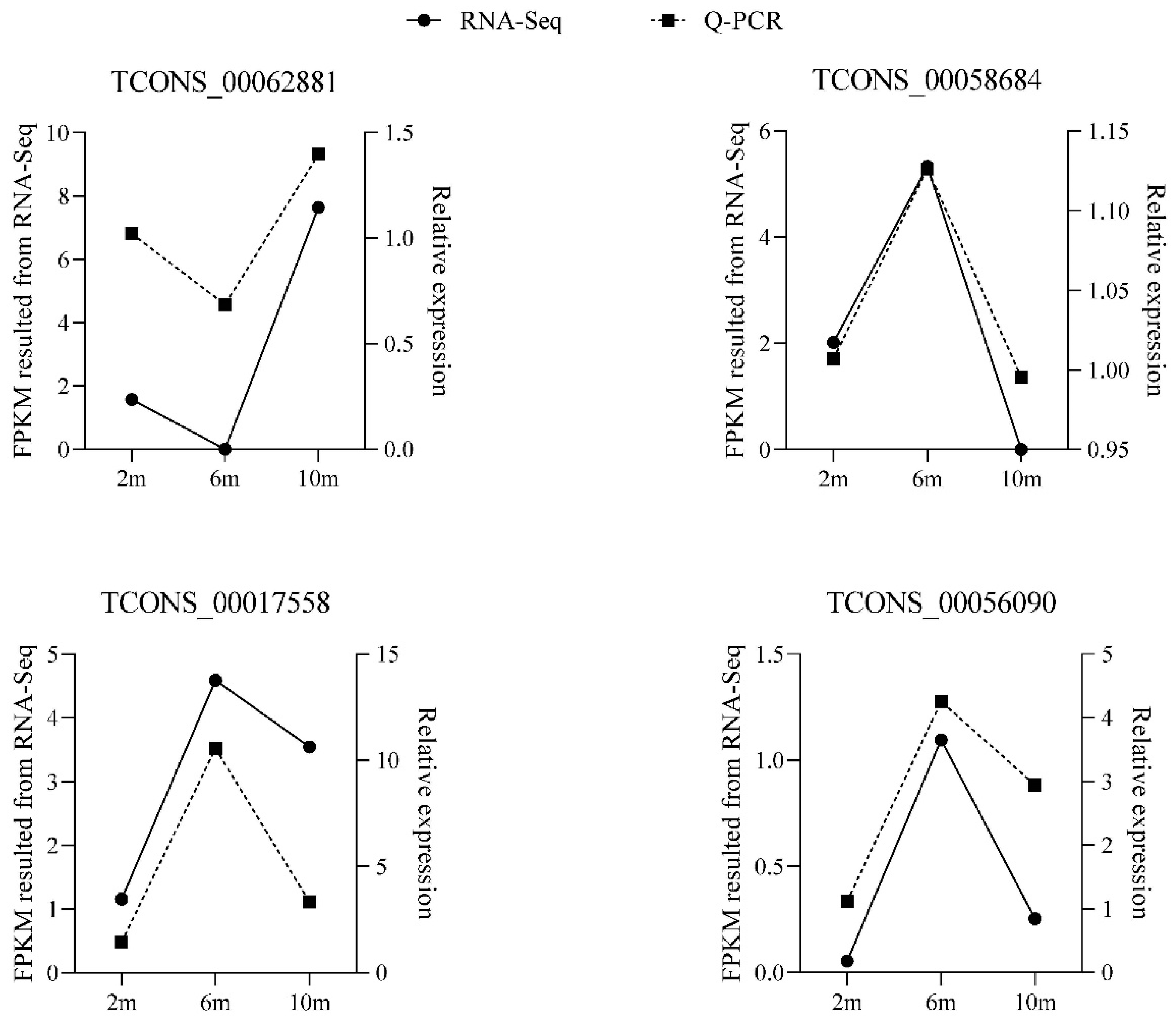 Animals 14 03125 g007