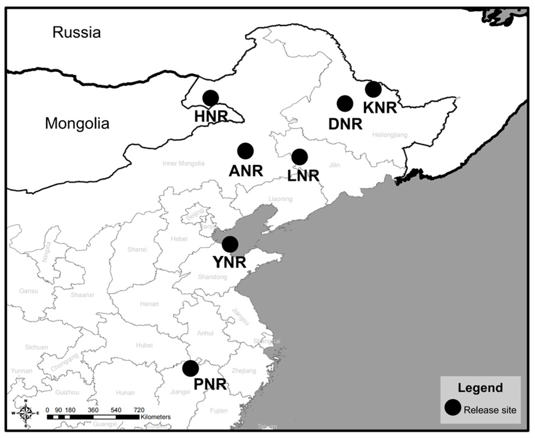 Animals 14 03128 g001