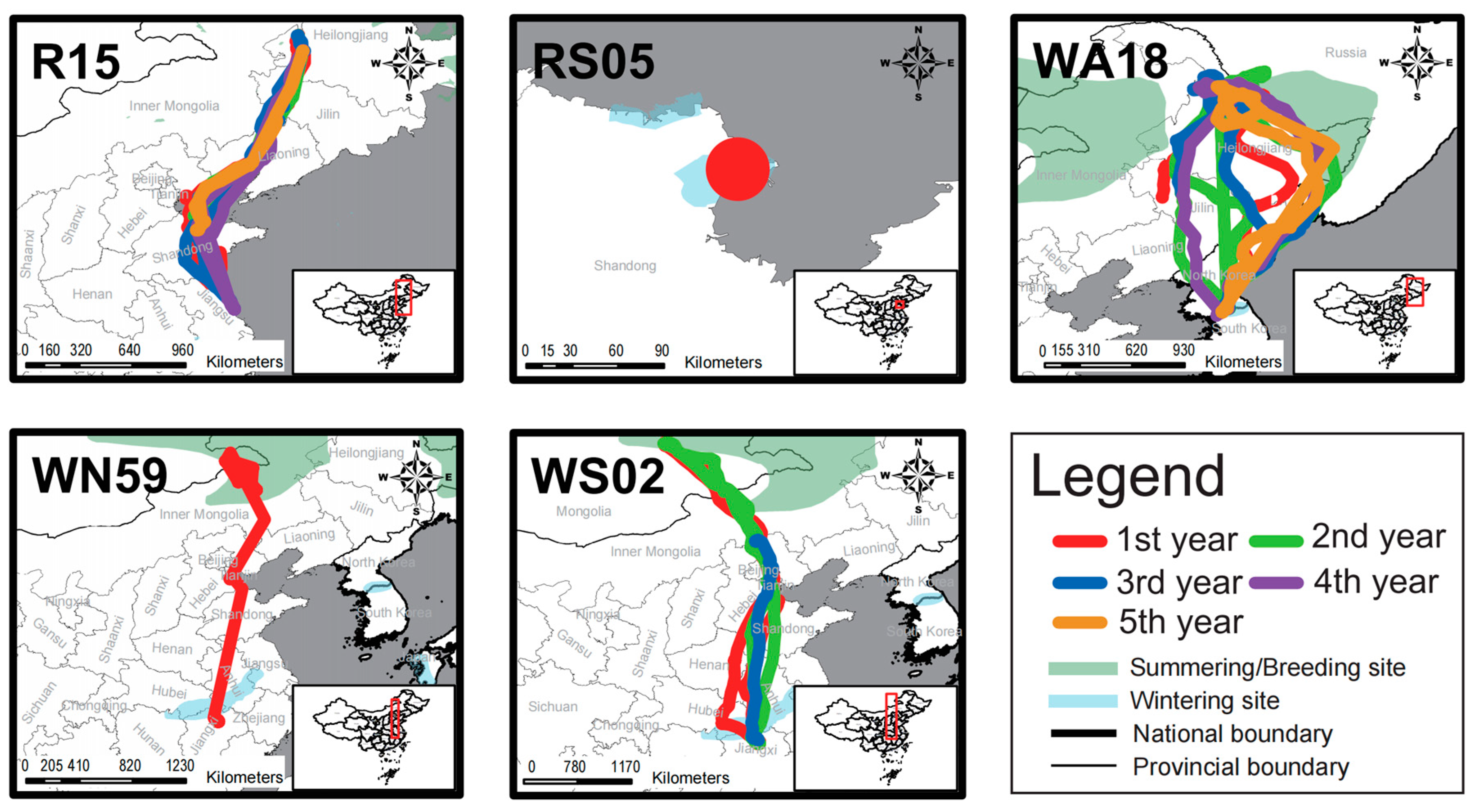 Animals 14 03128 g004