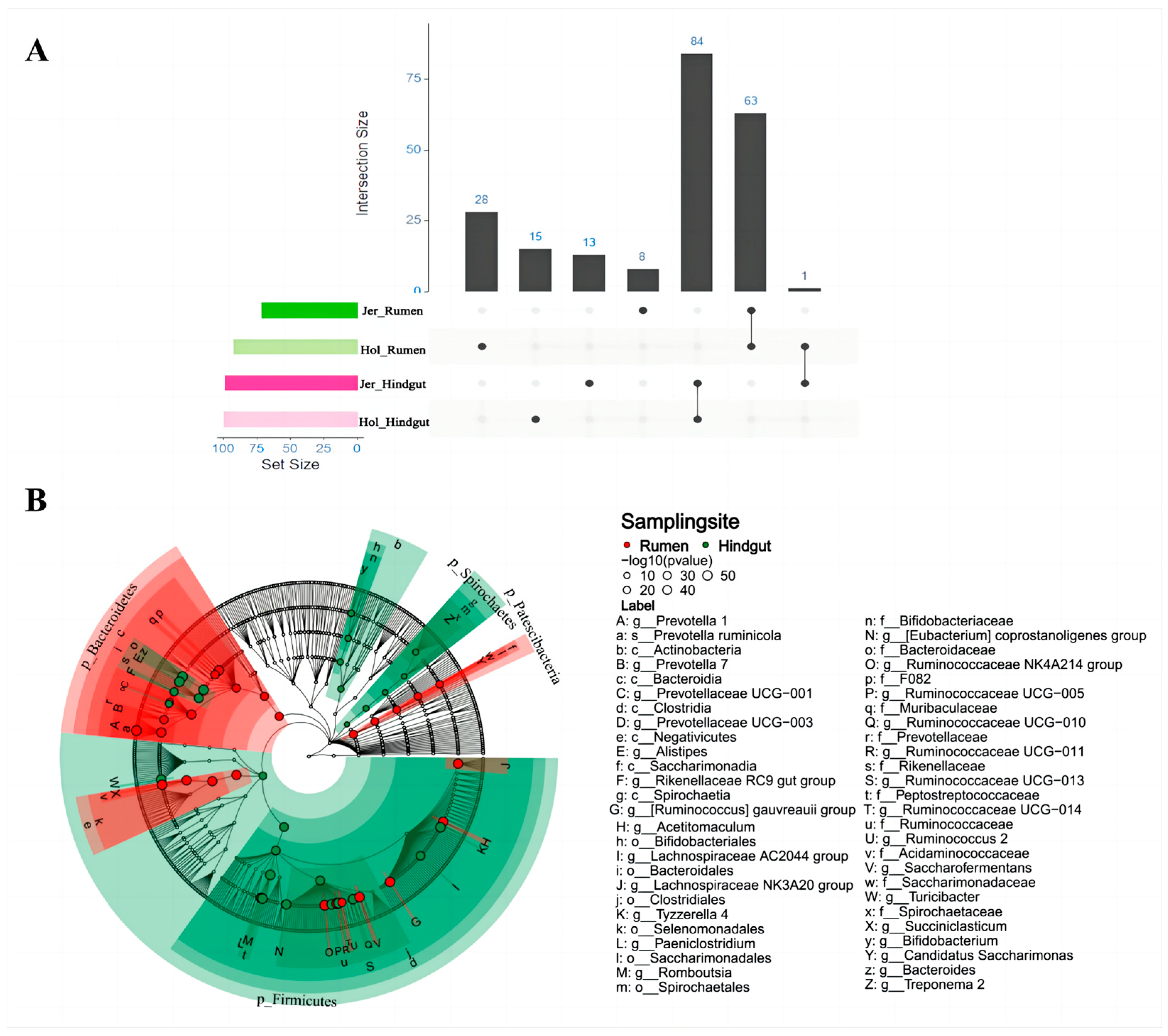 Animals 14 03137 g003