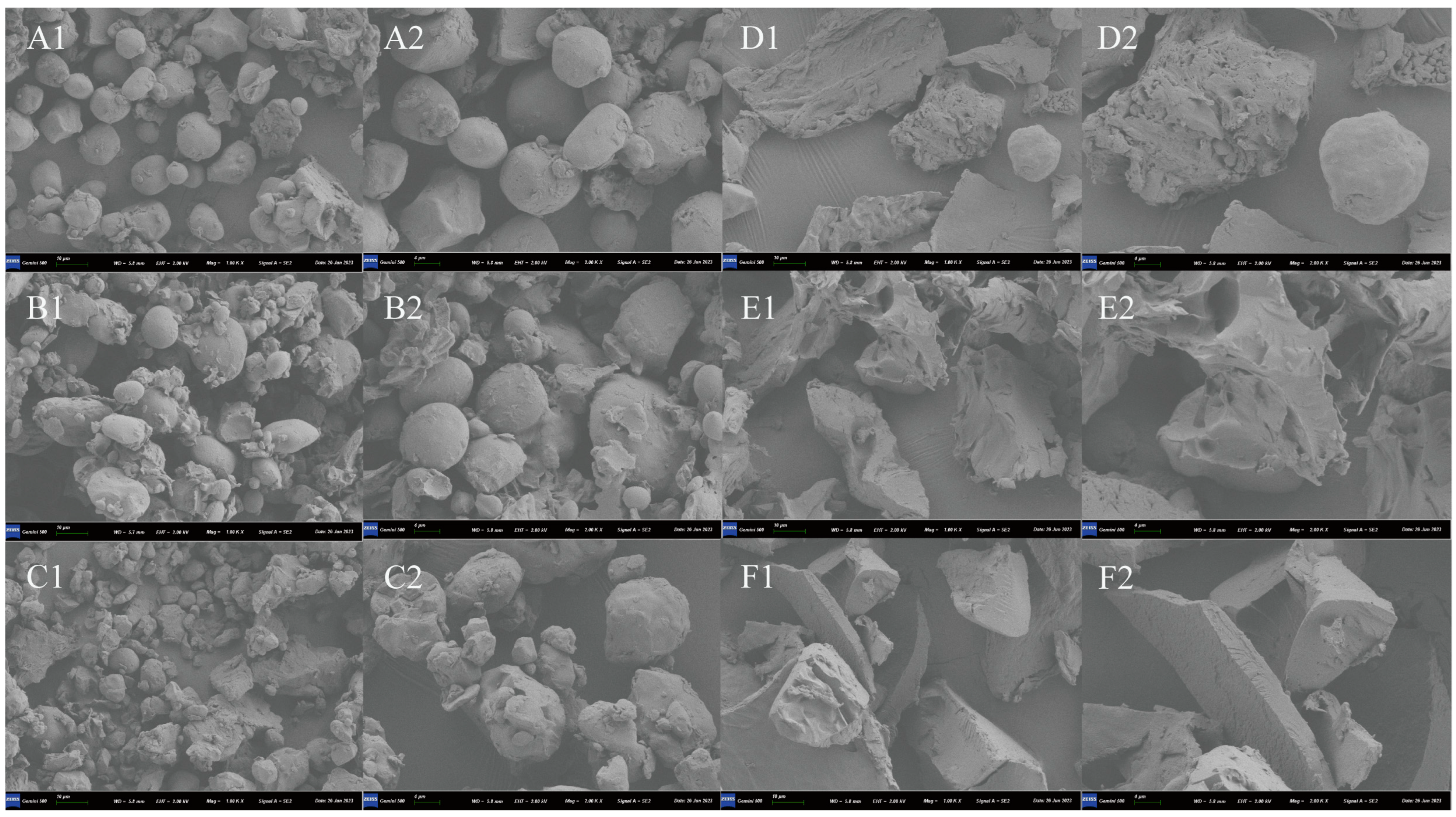 Animals 14 03144 g001