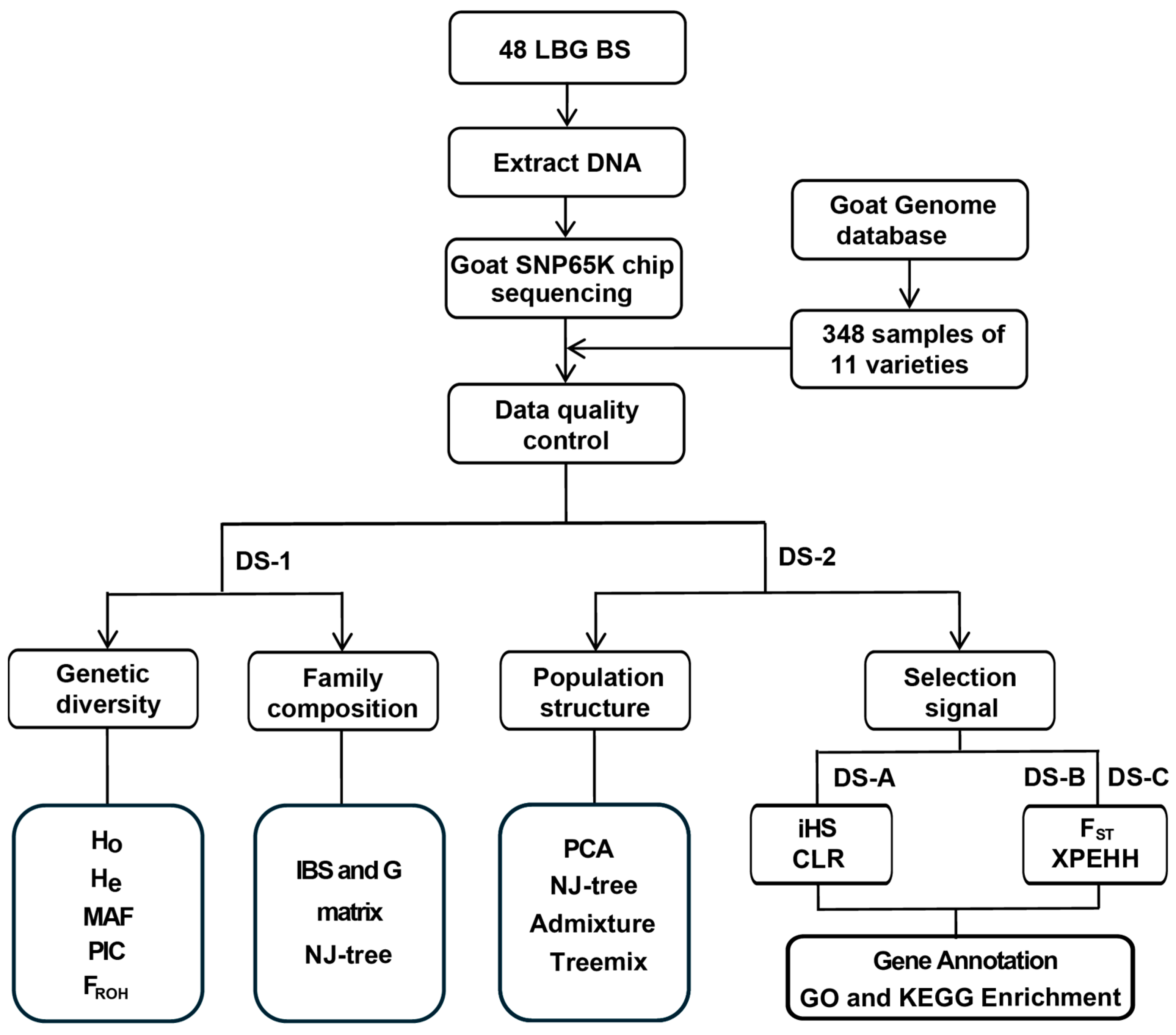 Animals 14 03154 g001