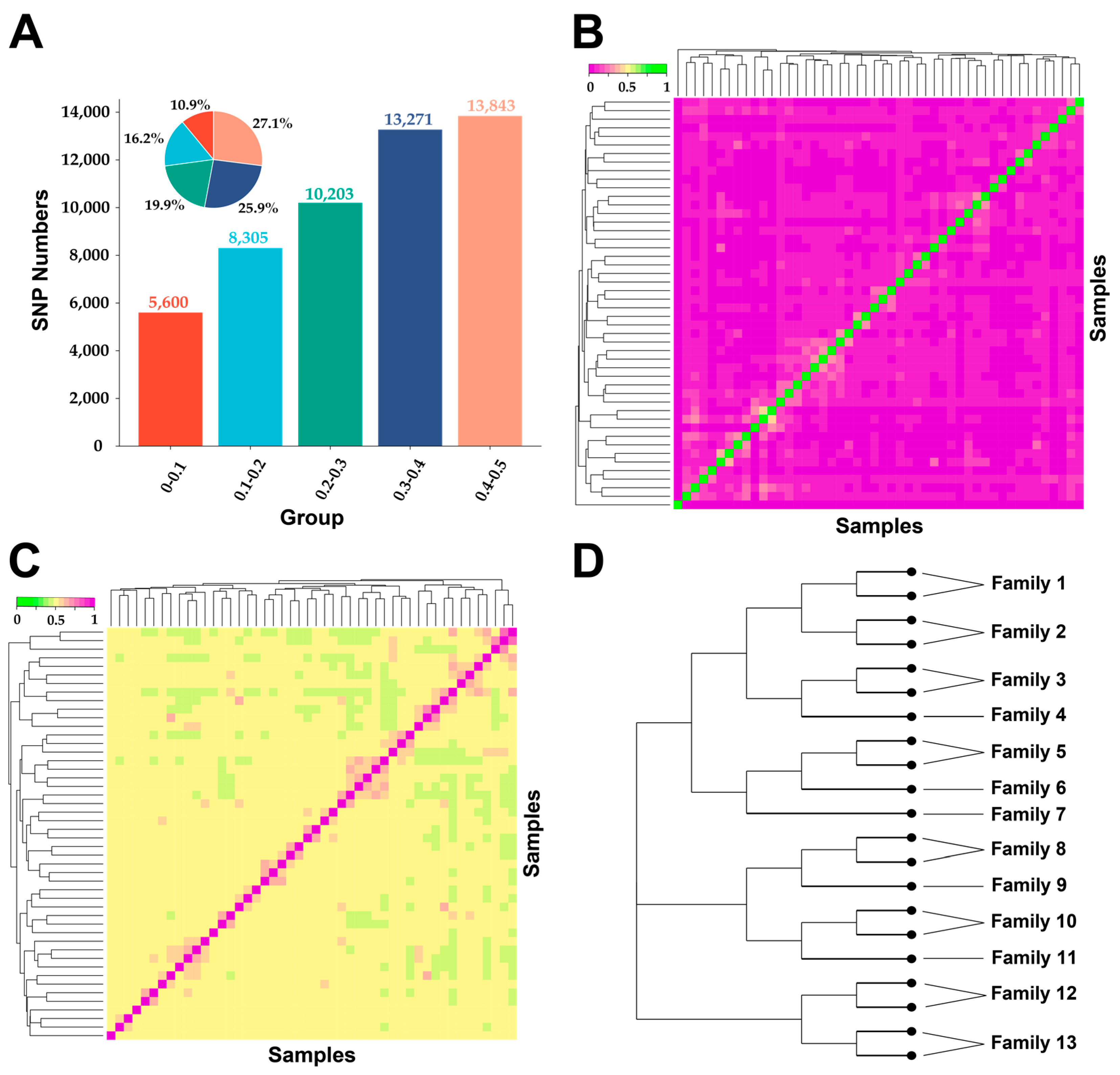 Animals 14 03154 g002