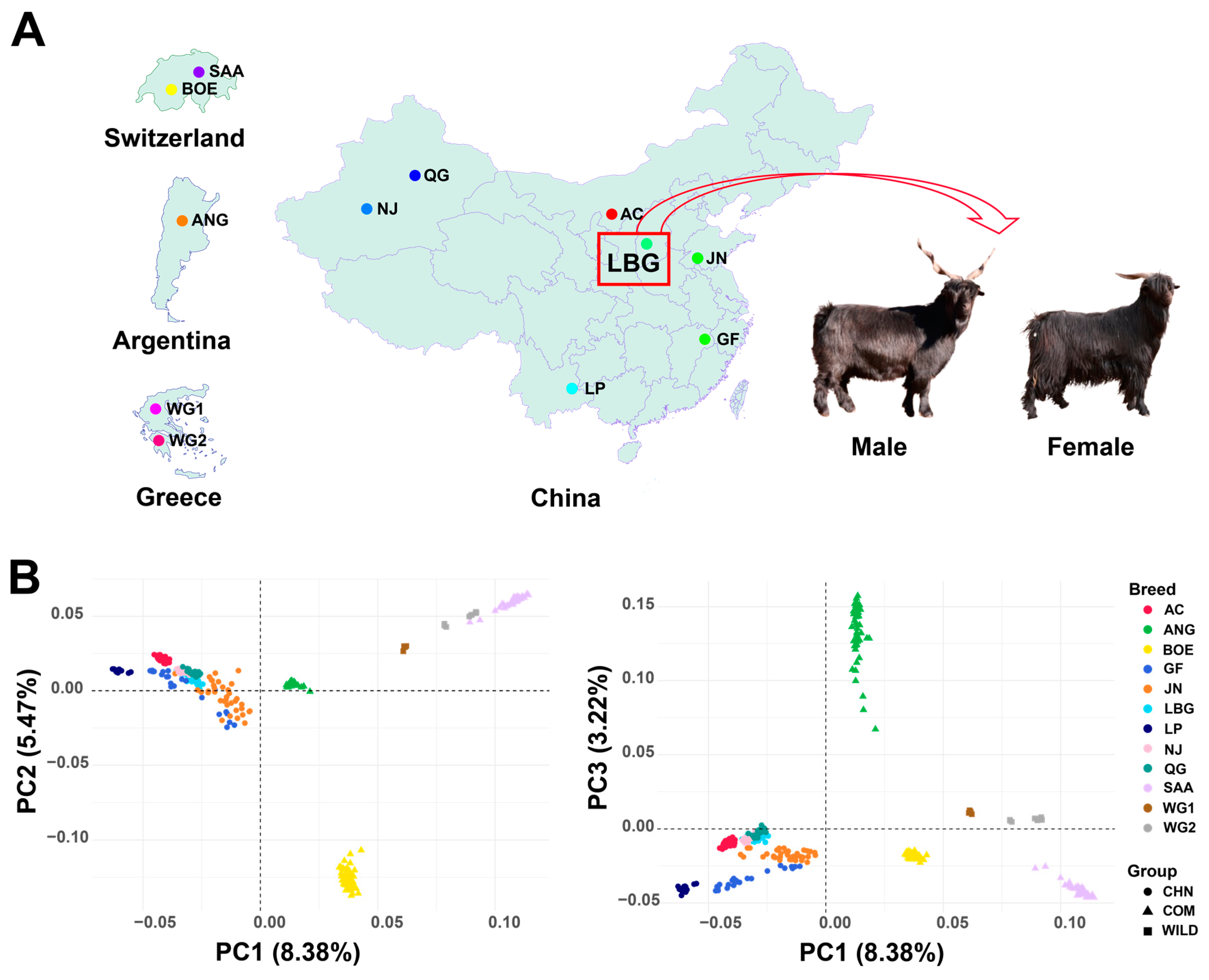 Animals 14 03154 g003
