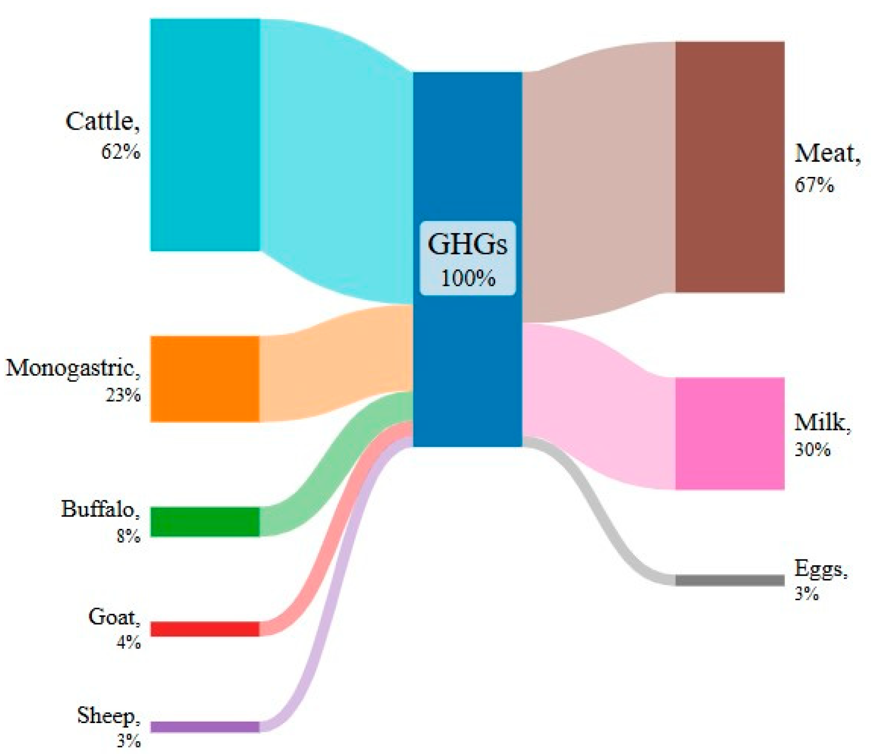 Animals 14 03158 g001
