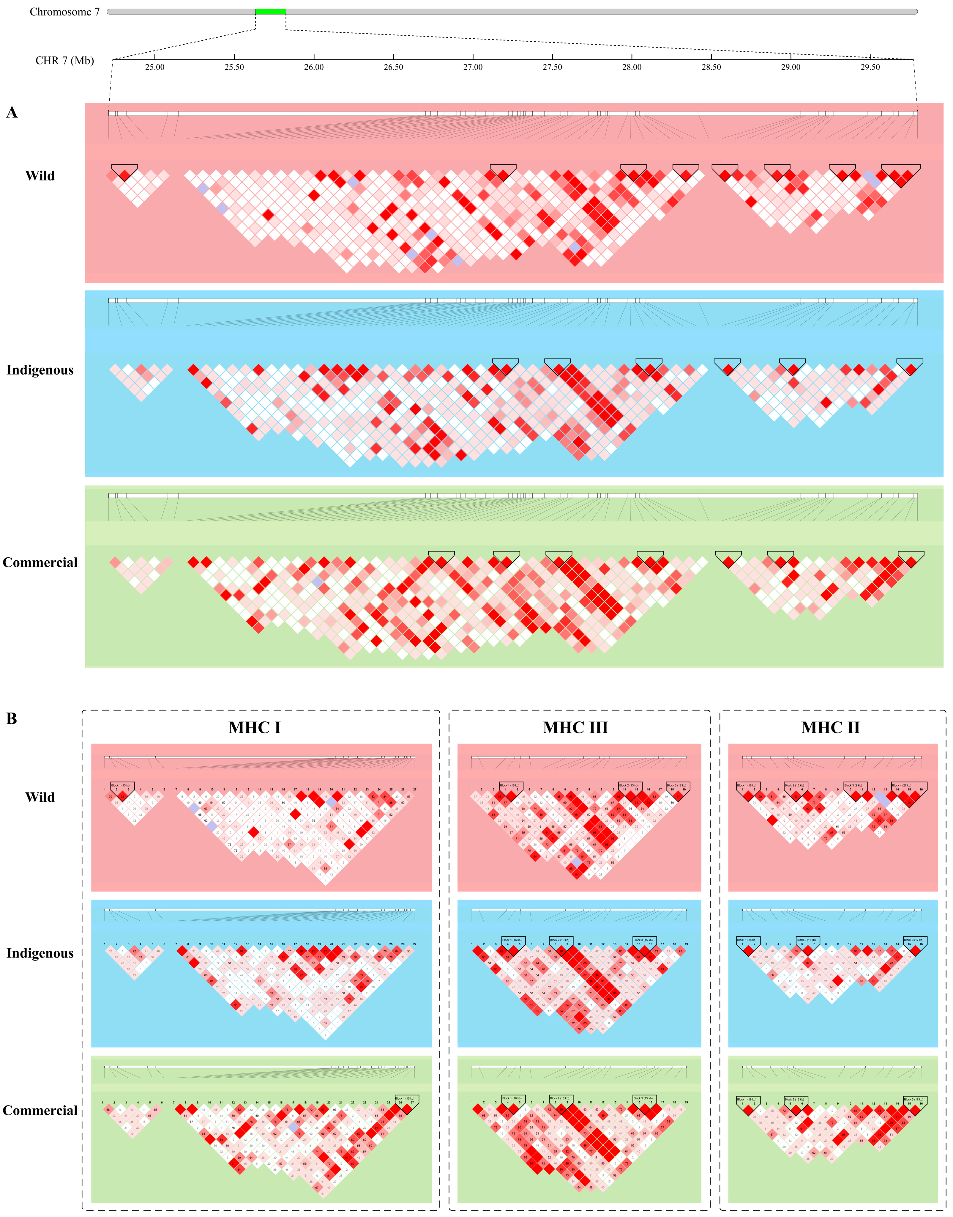 Animals 14 03159 g002