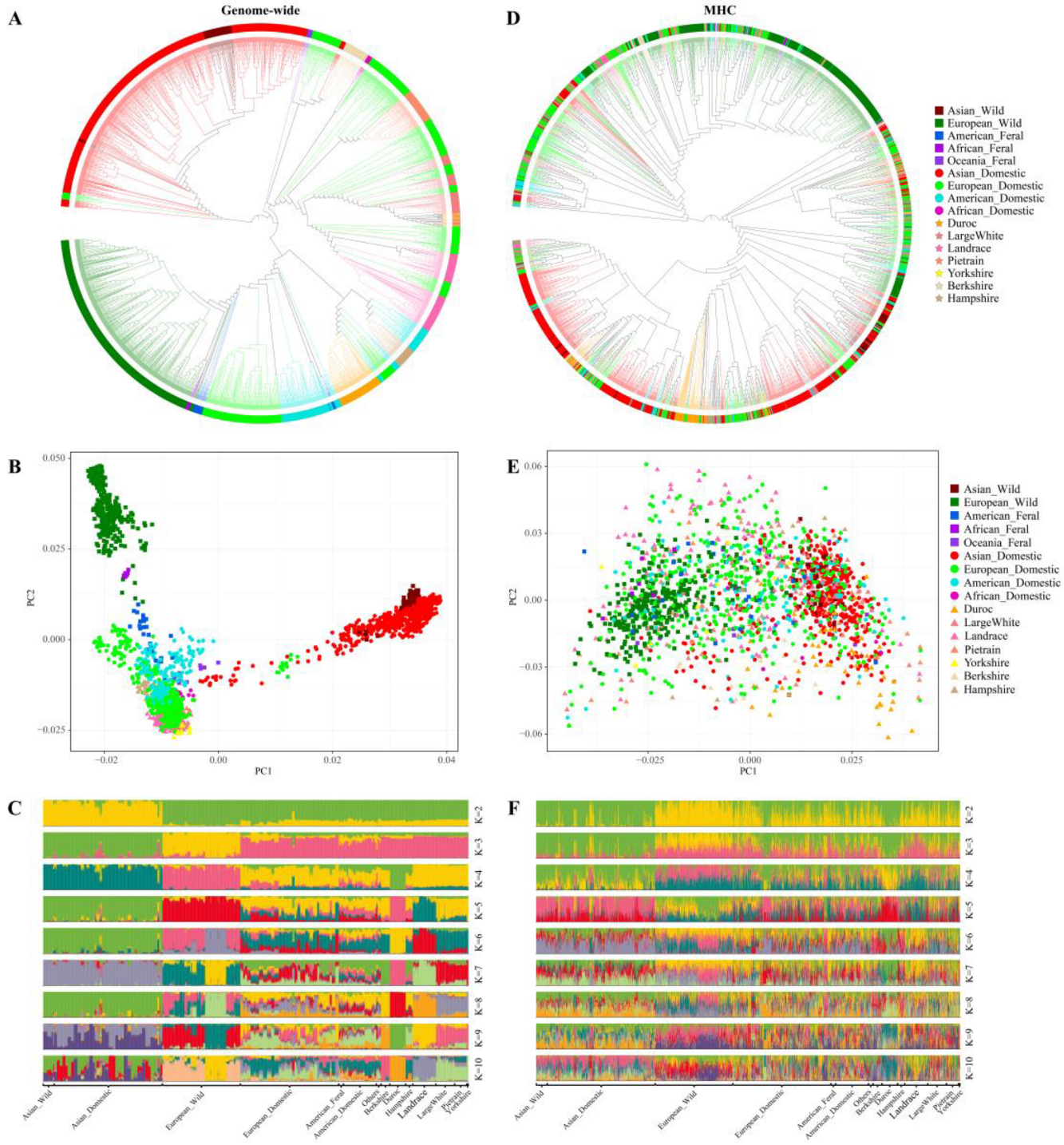 Animals 14 03159 g003