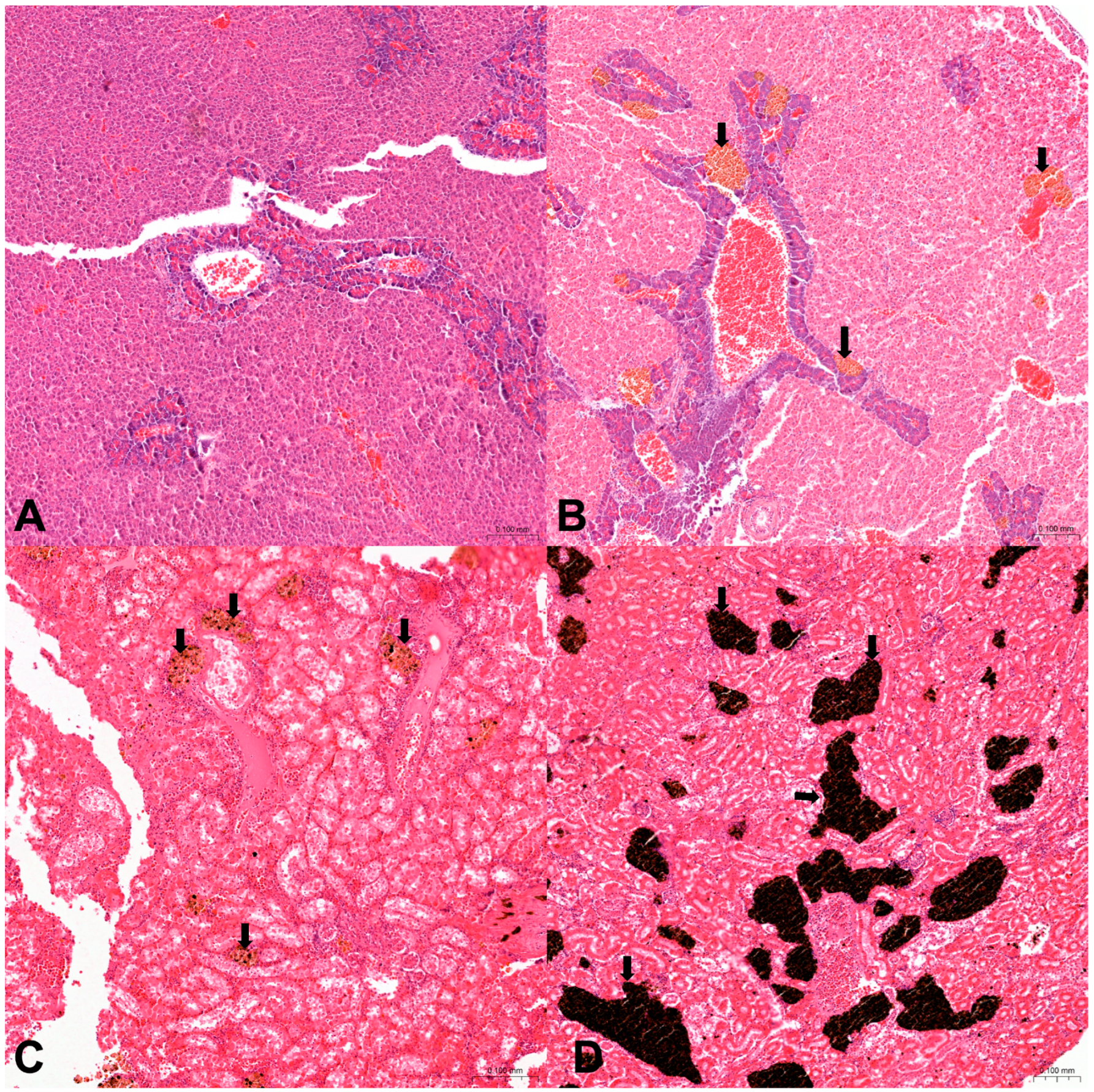 Animals 14 03160 g002 Animals 14 03160 g002