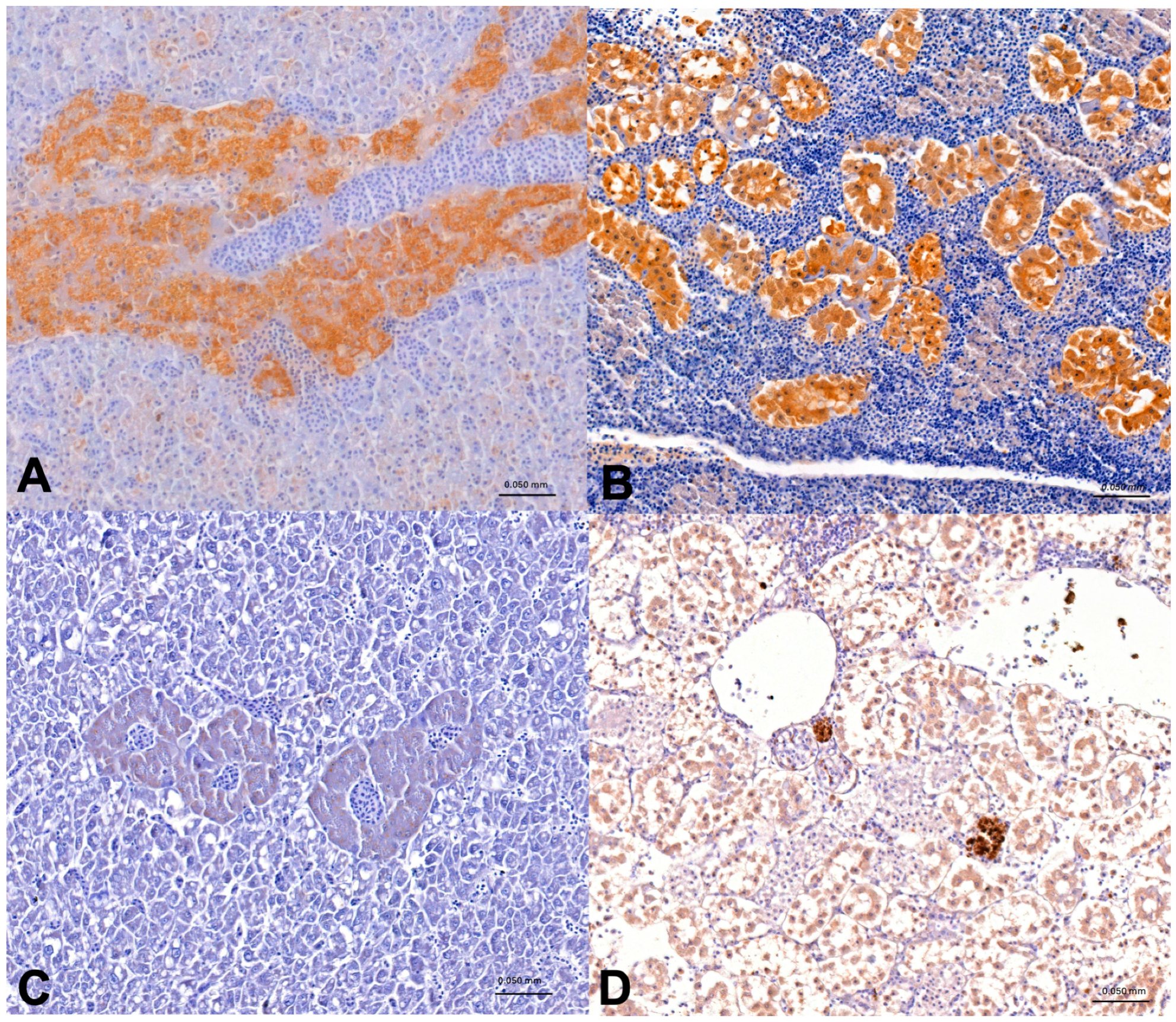 Animals 14 03160 g004 Animals 14 03160 g004