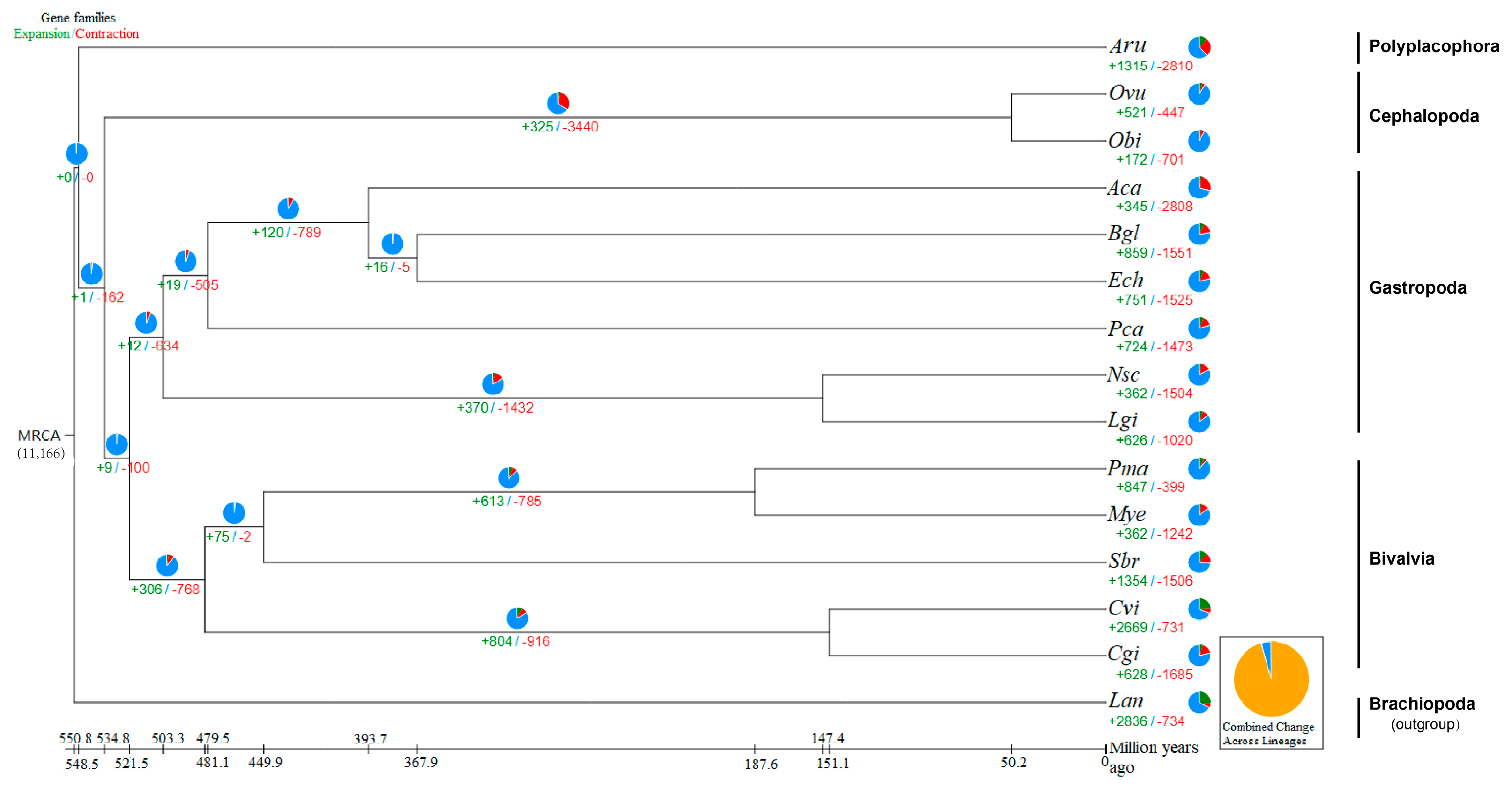 Animals 14 03161 g008