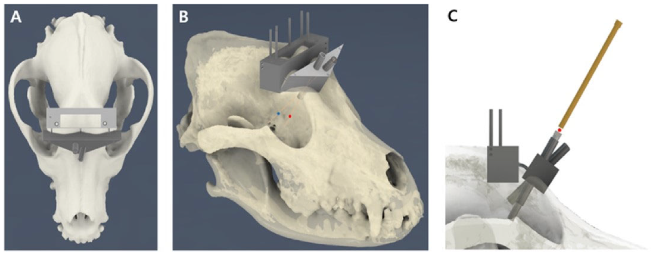 Animals 14 03163 g004