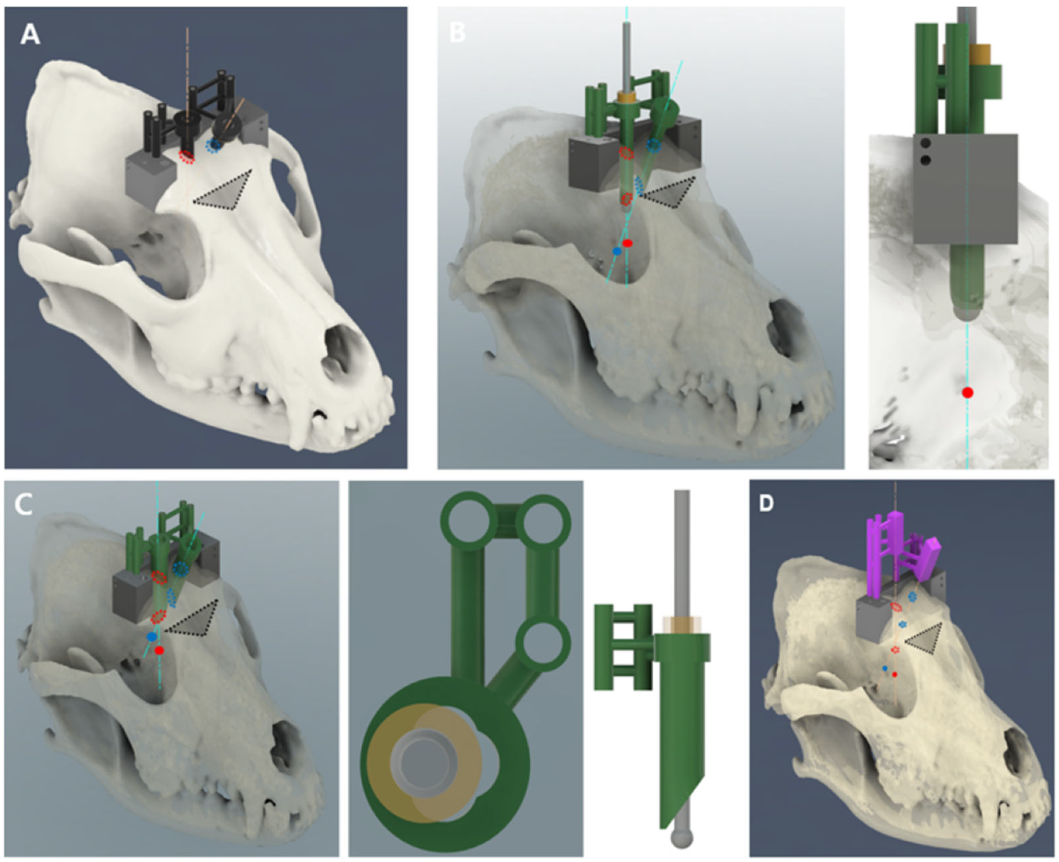 Animals 14 03163 g005