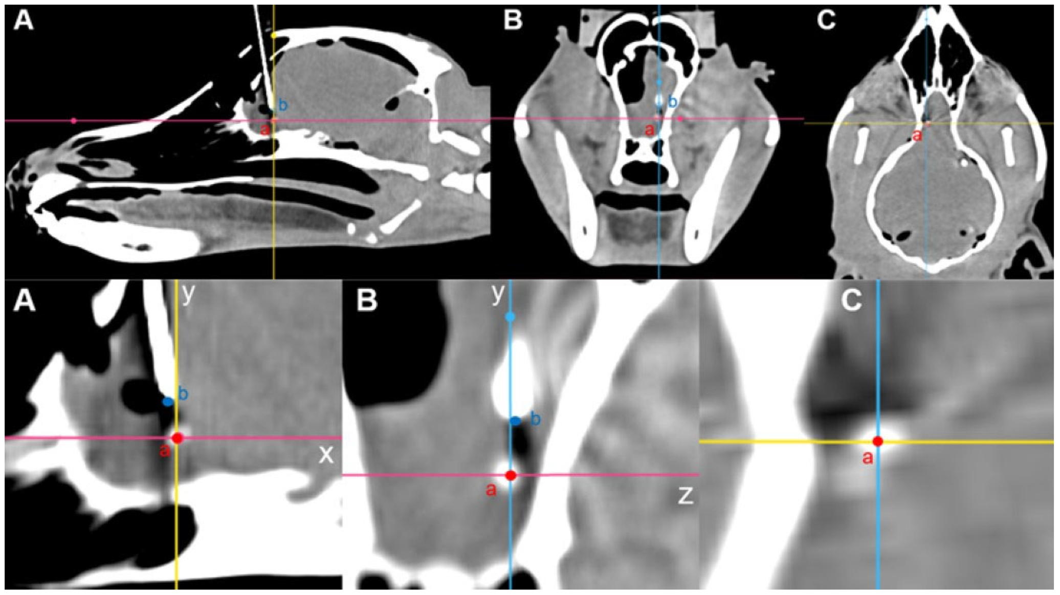 Animals 14 03163 g007