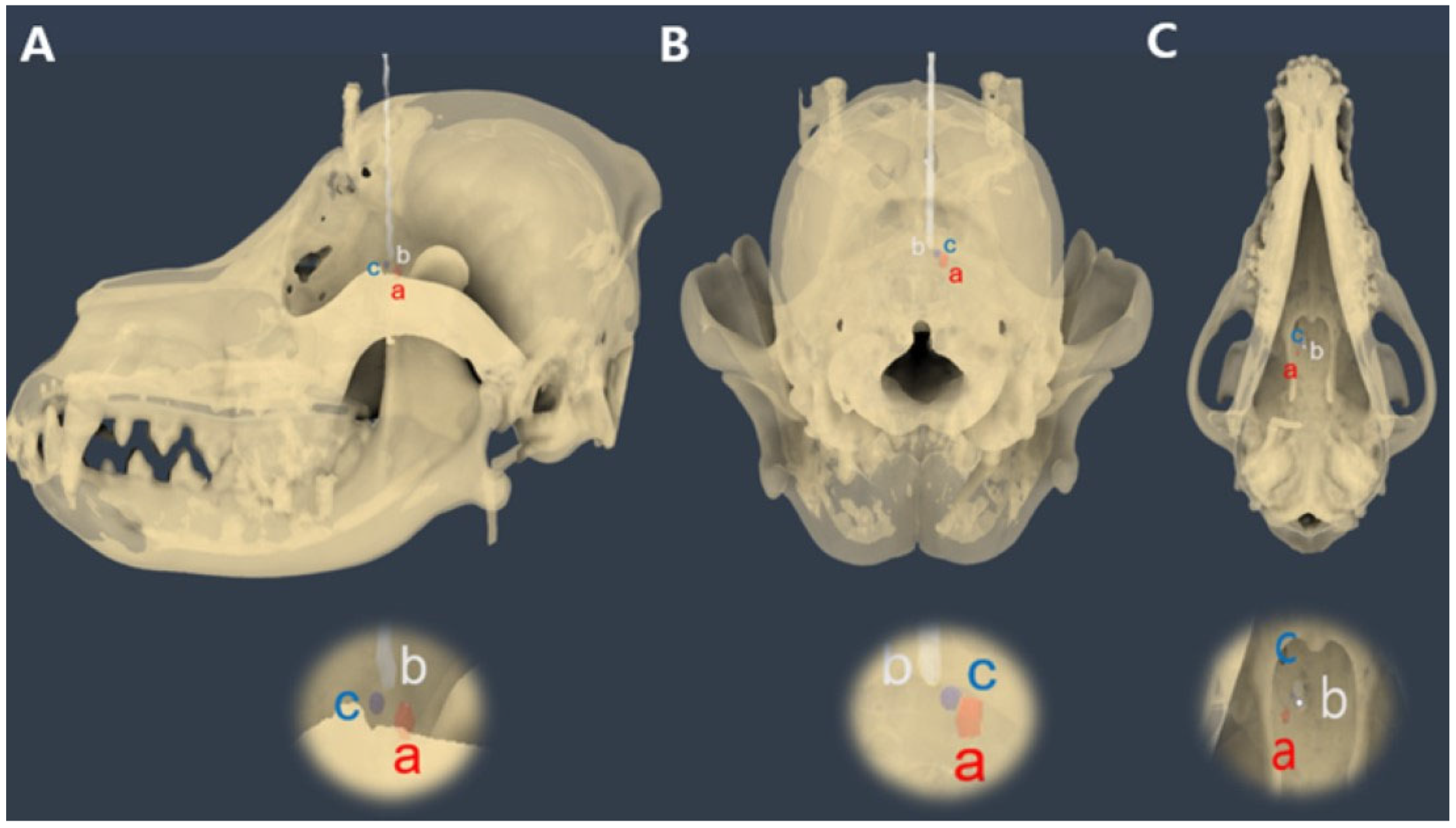 Animals 14 03163 g008