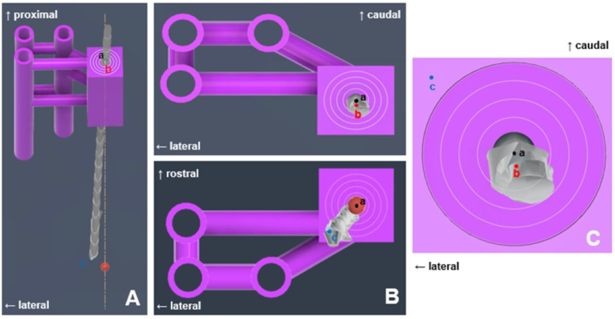 Animals 14 03163 g009