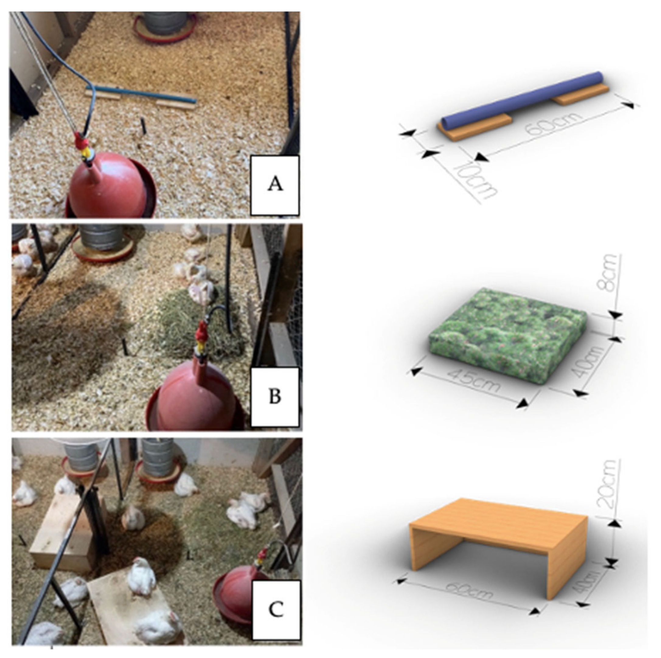 Animals 14 03186 g002