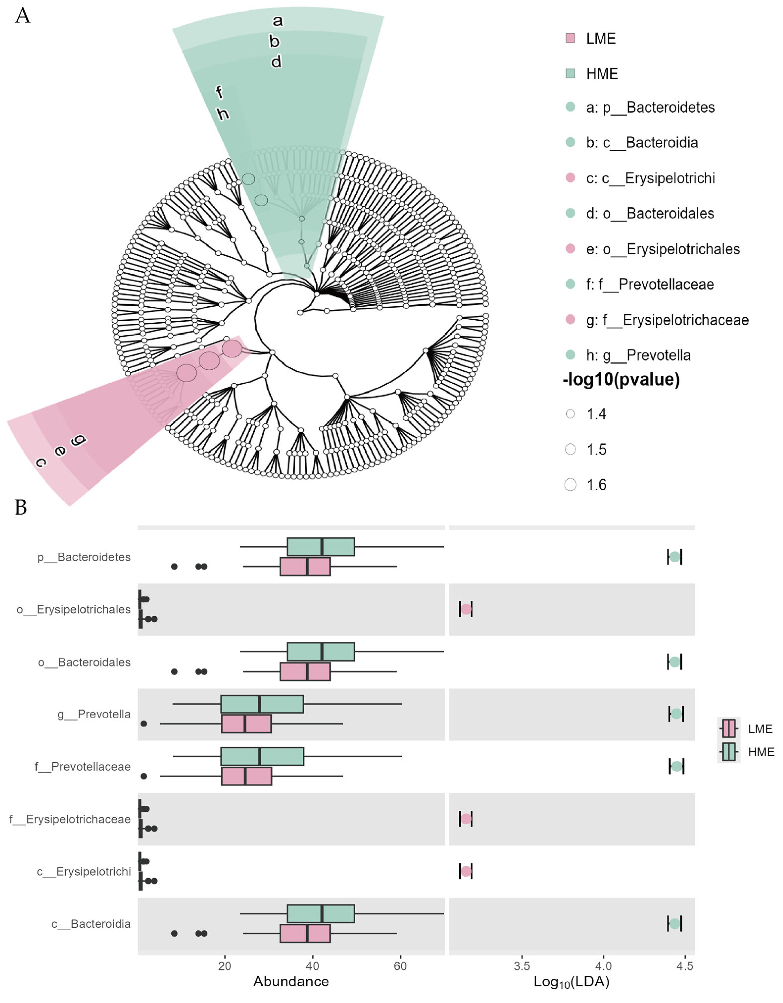 Animals 14 03195 g005