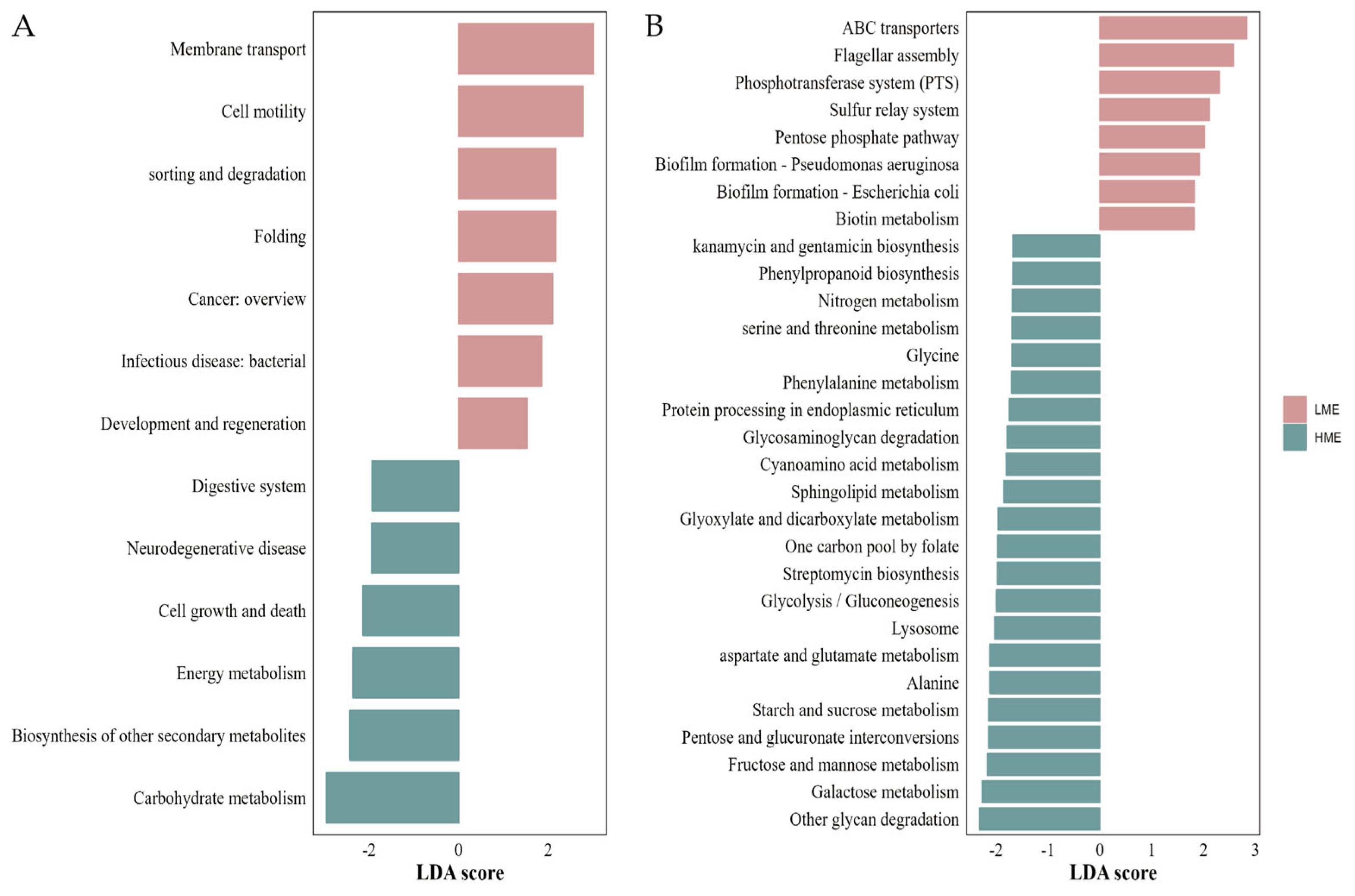 Animals 14 03195 g006