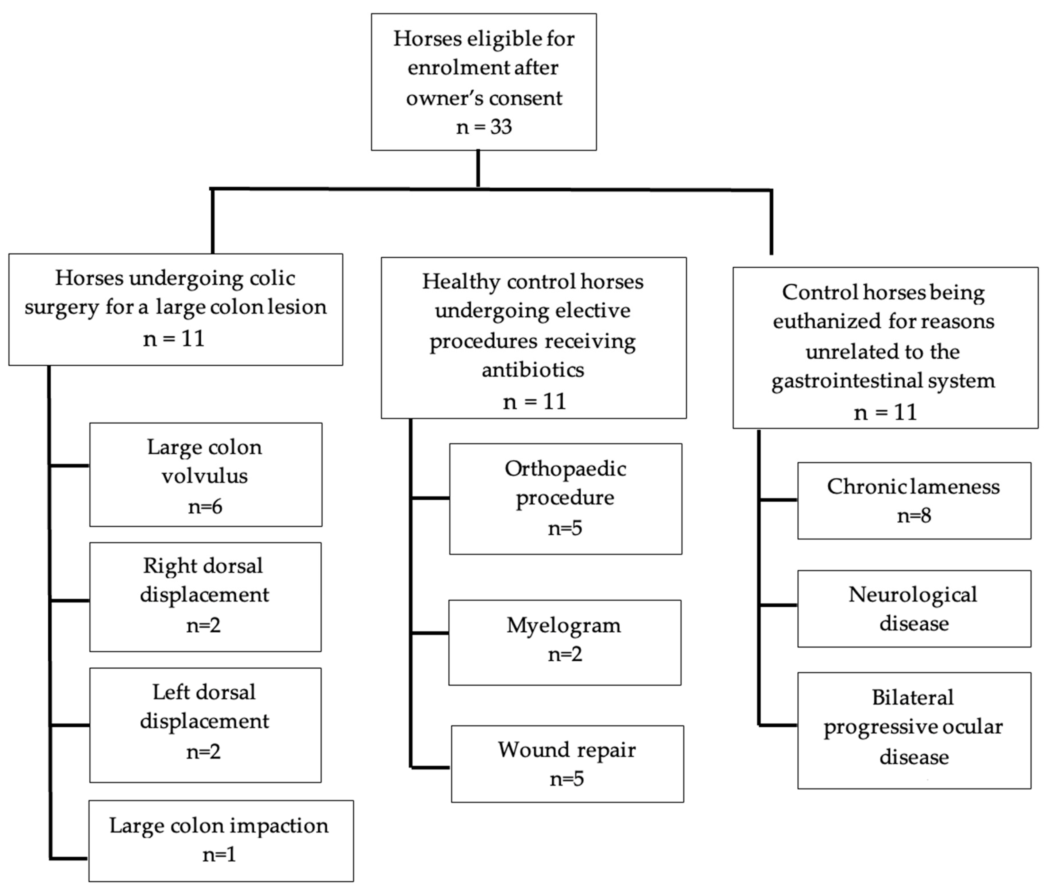 Animals 14 03203 g001