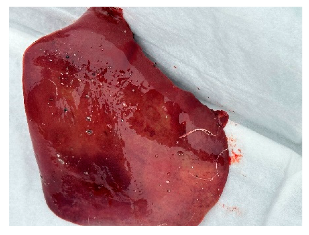 Animals 14 03211 g010