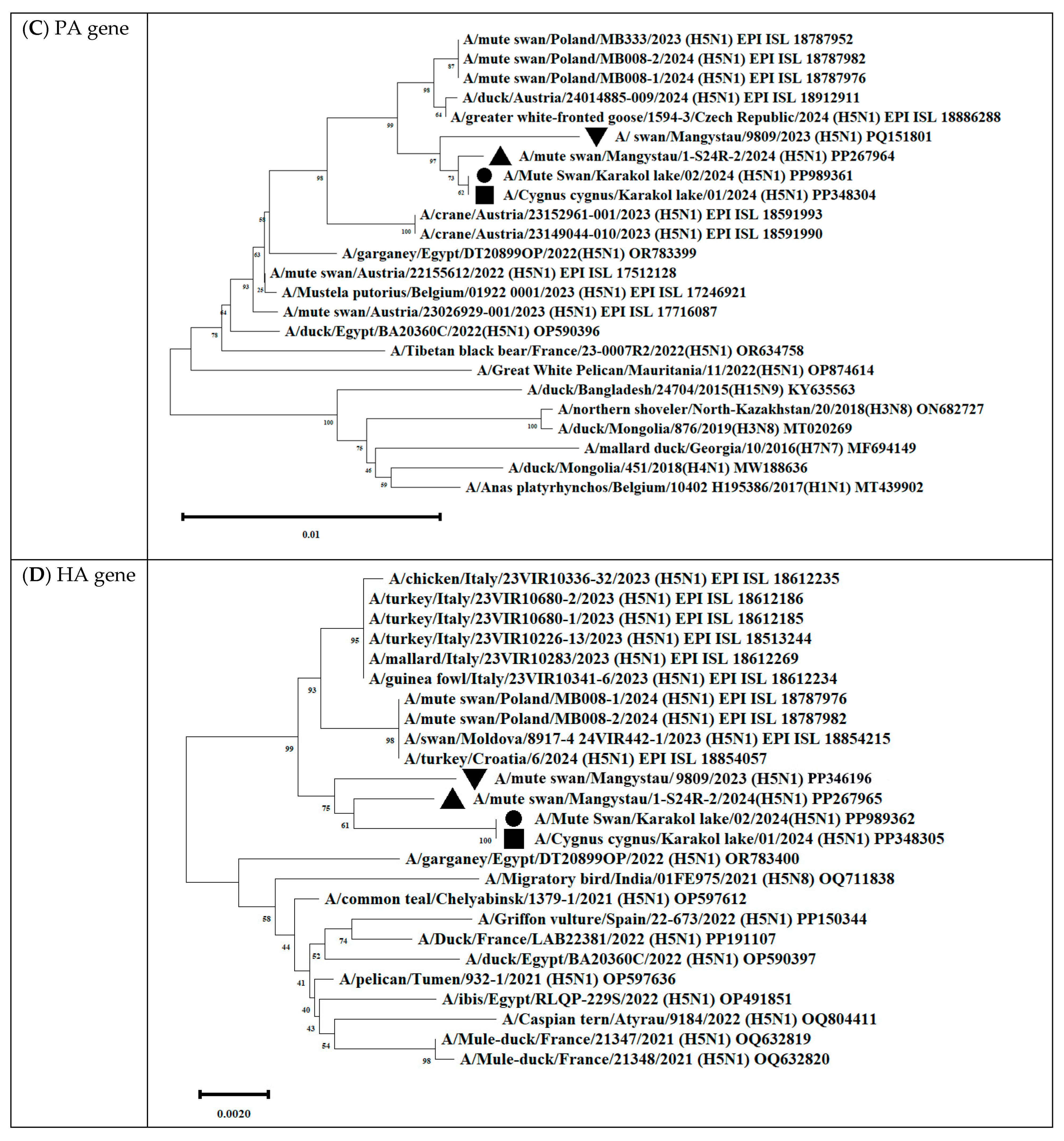Animals 14 03211 g012b