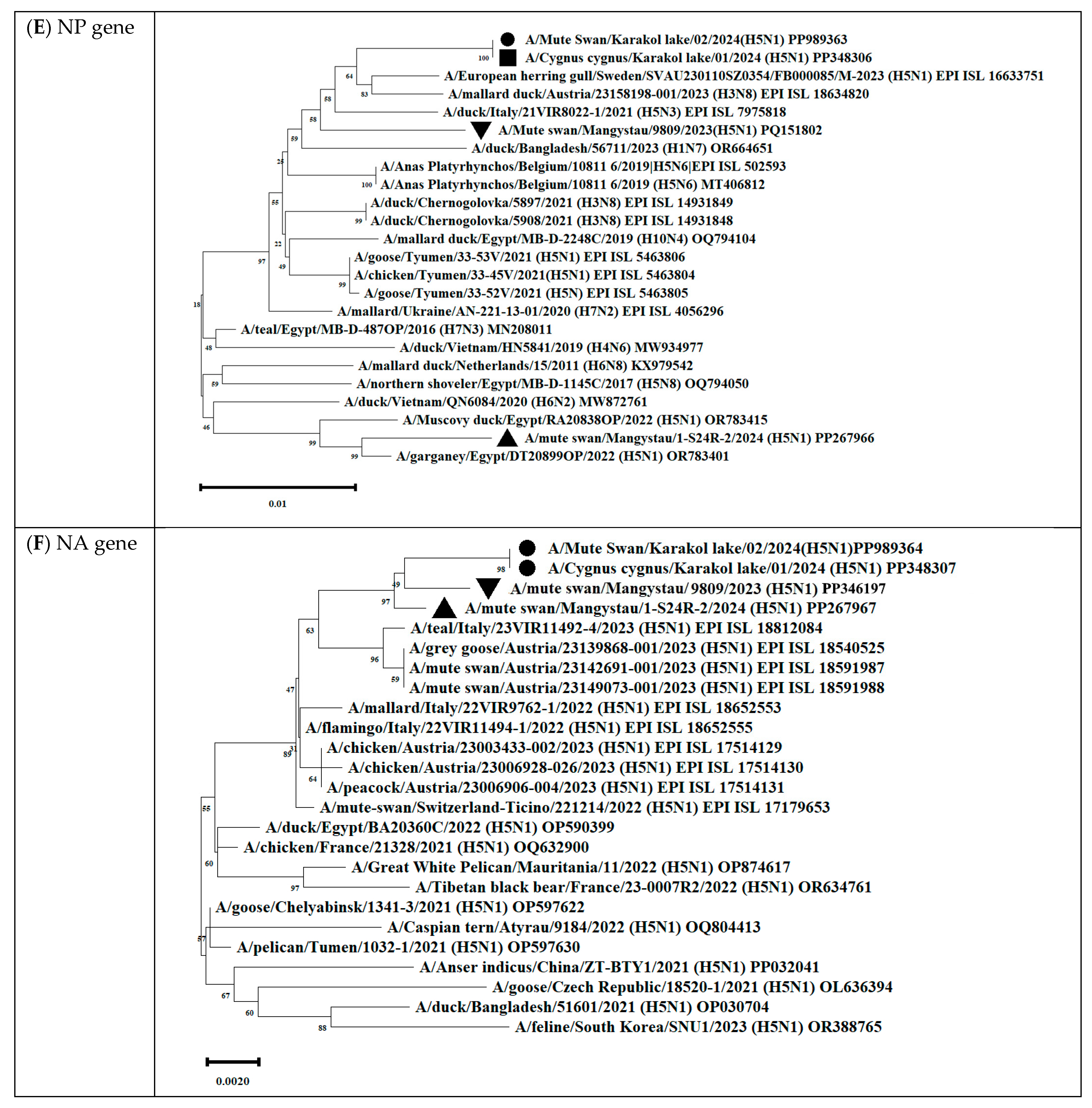 Animals 14 03211 g012c