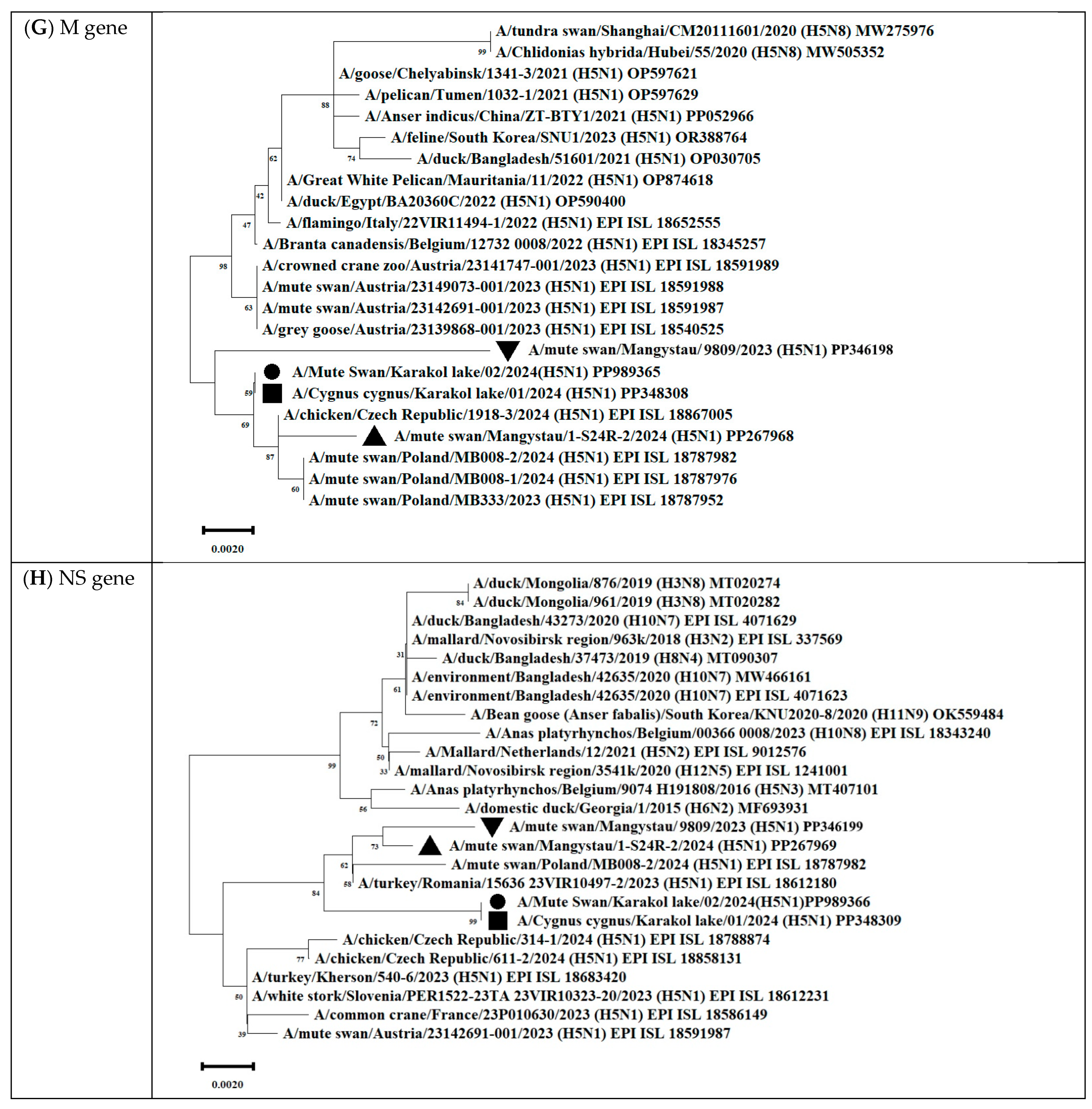 Animals 14 03211 g012d