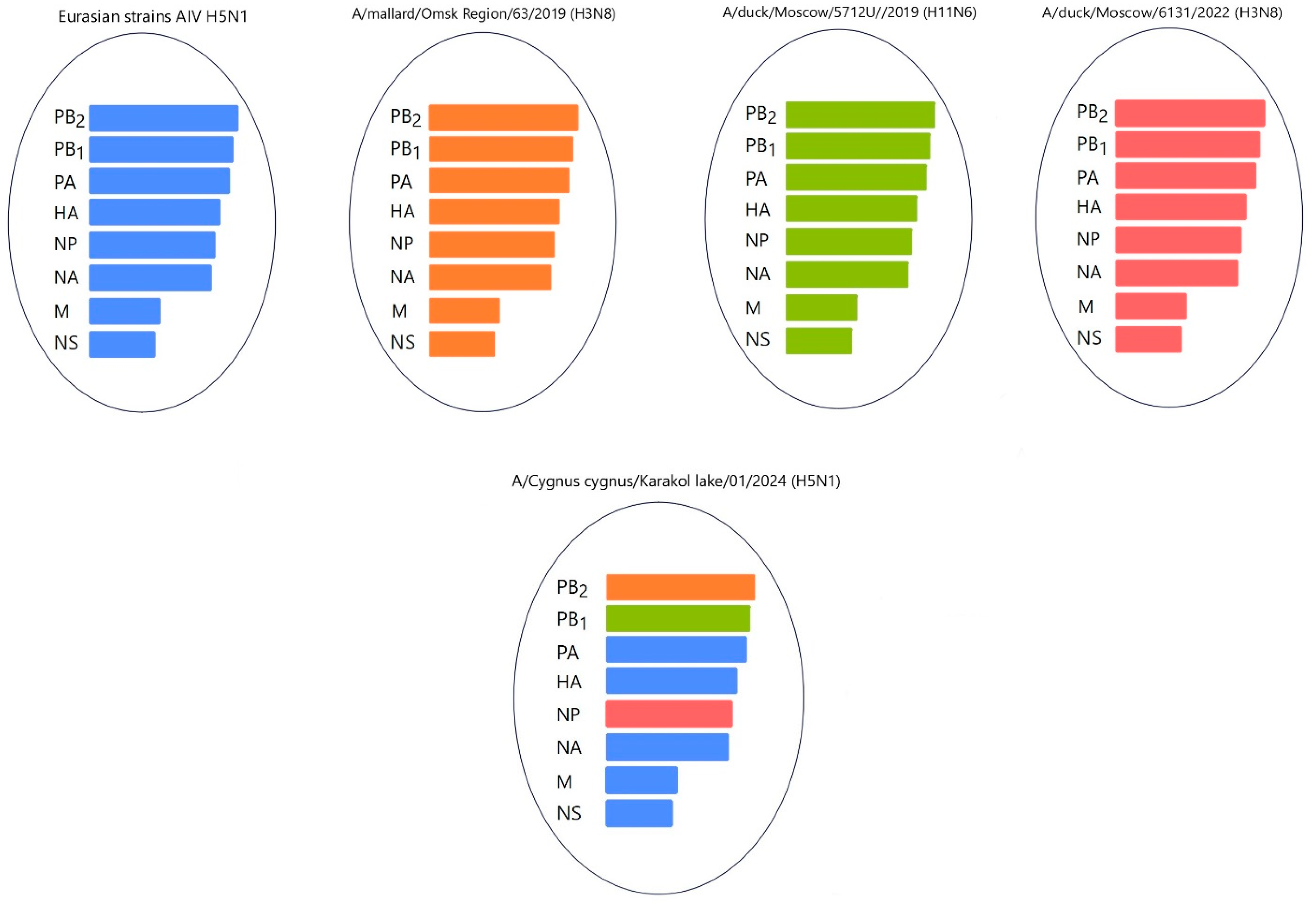 Animals 14 03211 g013