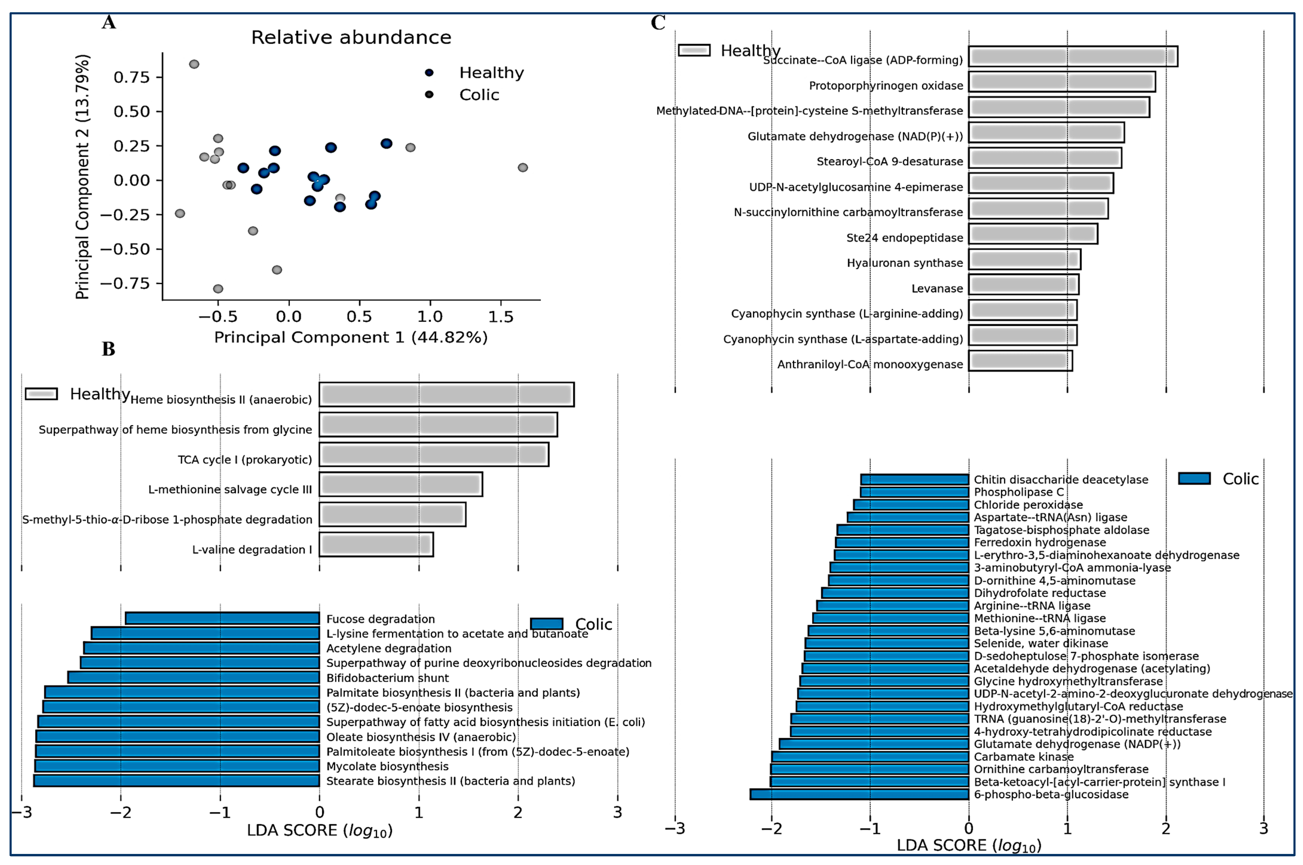Animals 14 03222 g005