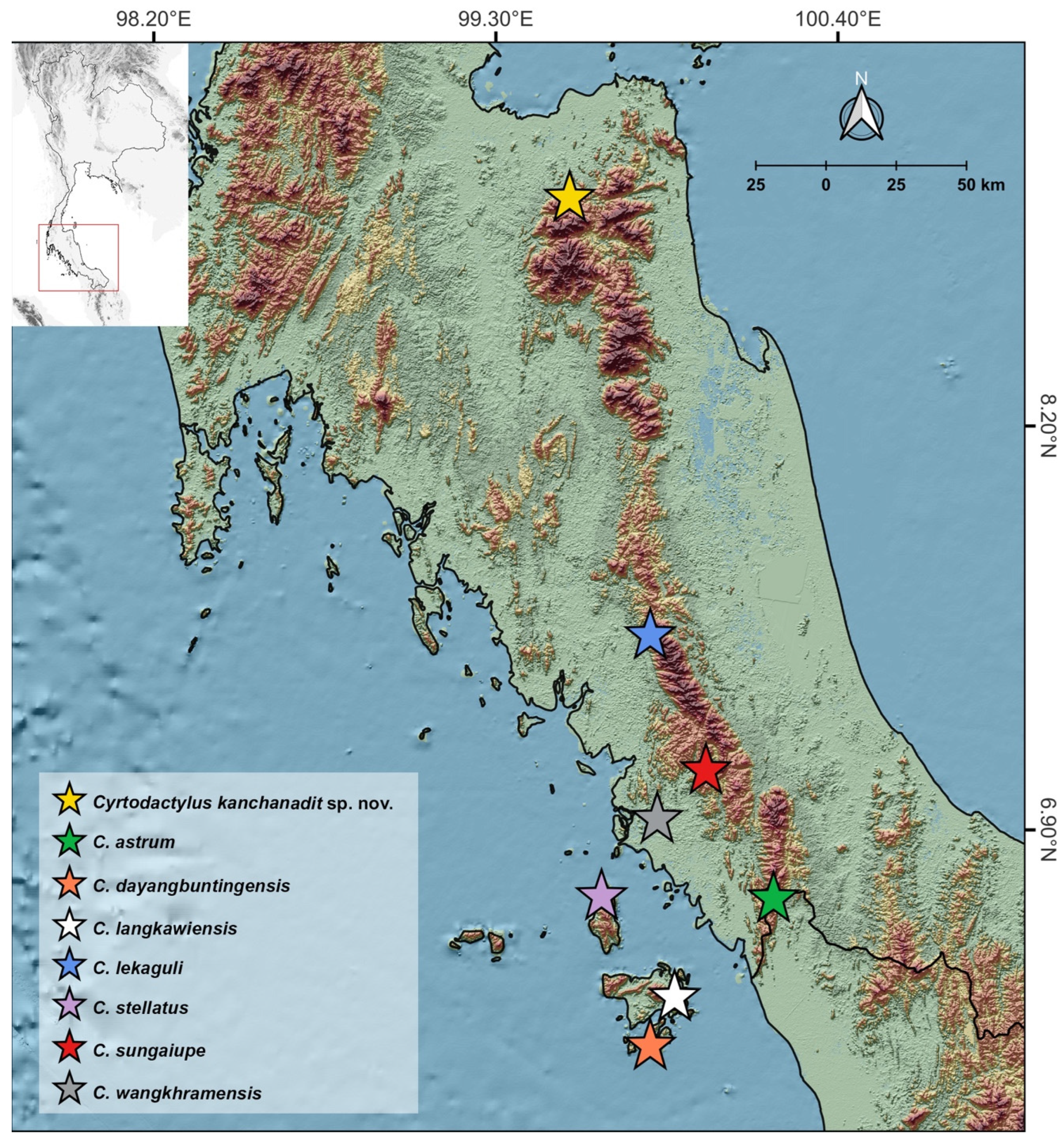 Animals 14 03226 g001
