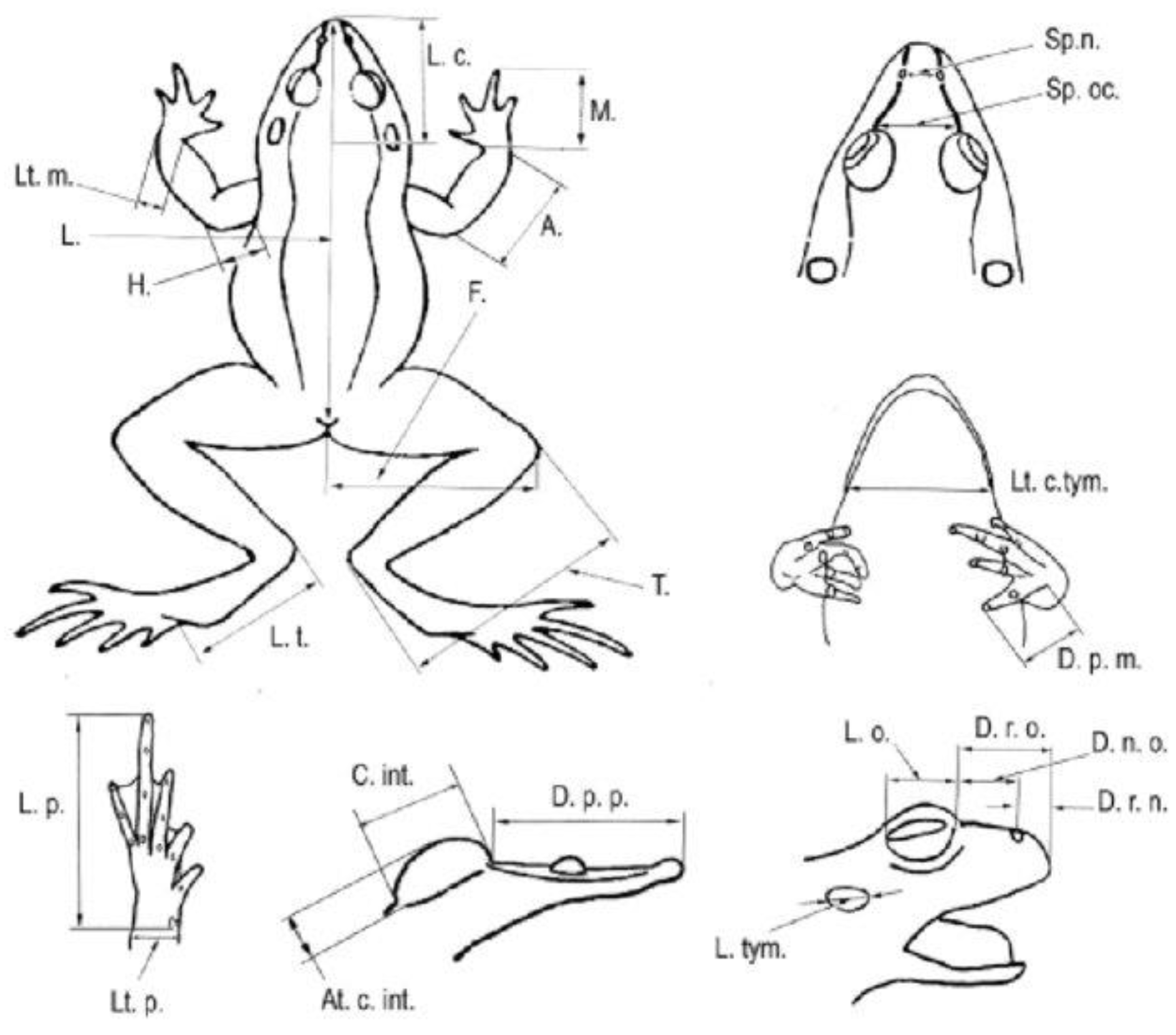 Animals 14 03230 g002