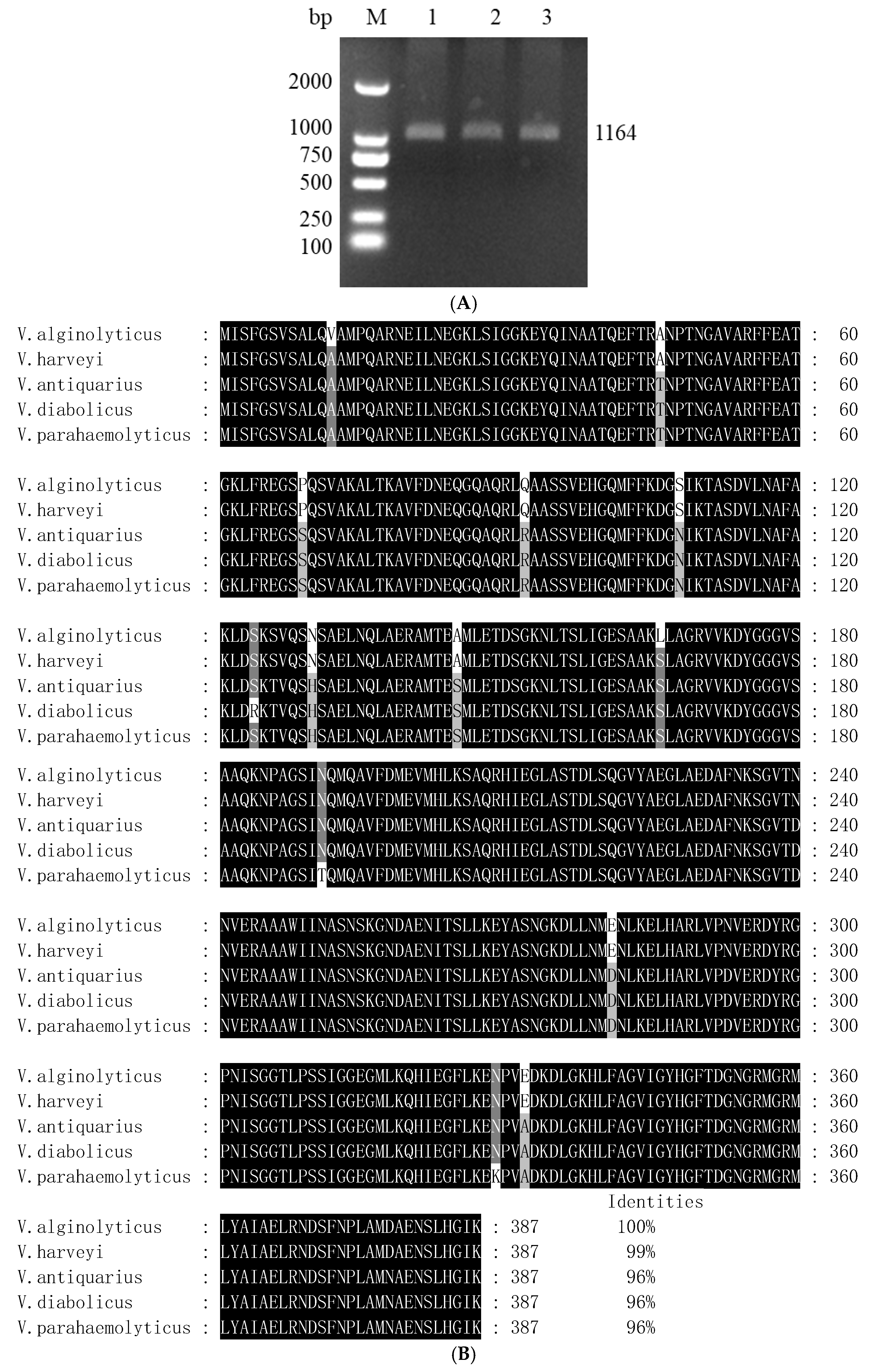 Animals 14 03250 g001