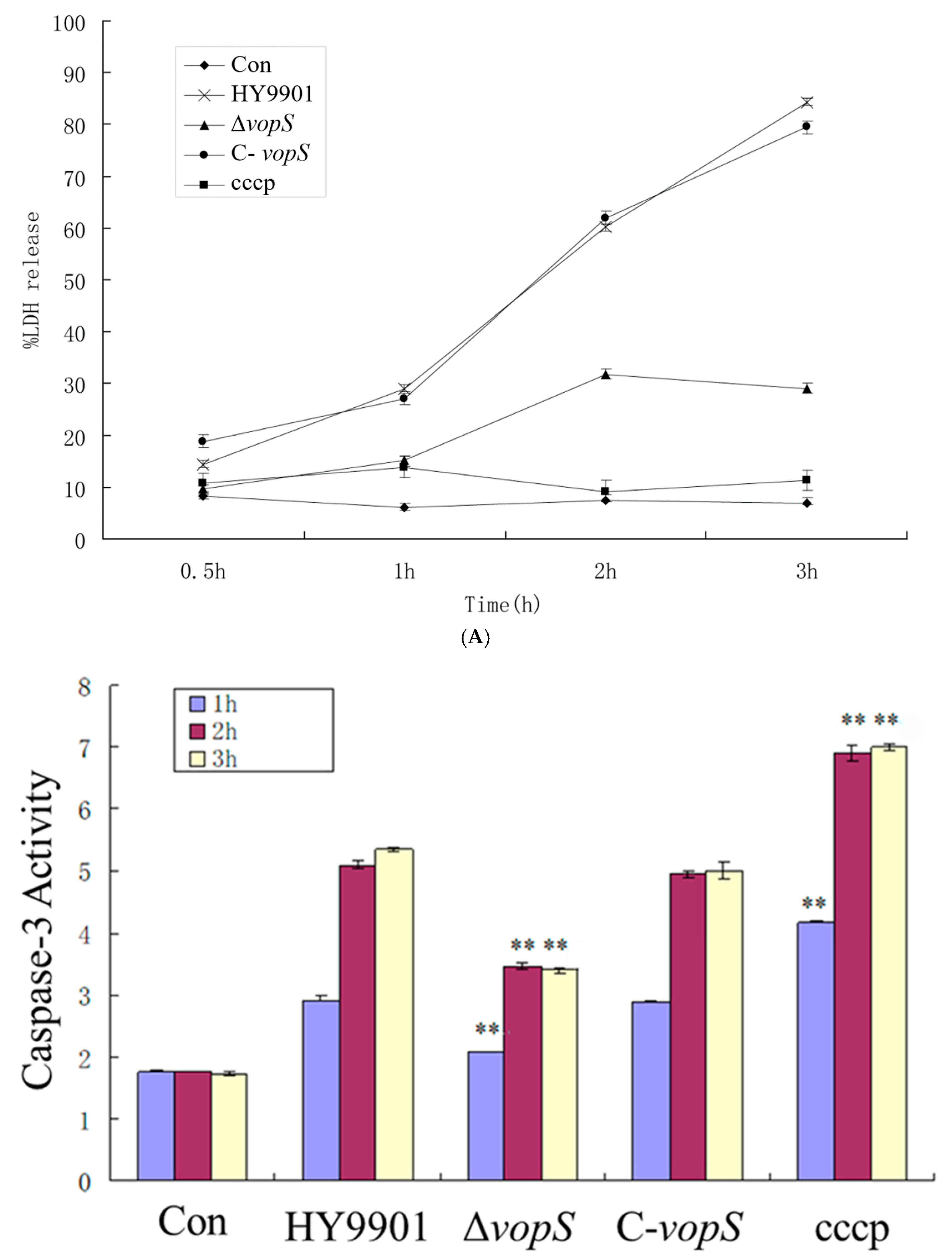 Animals 14 03250 g005