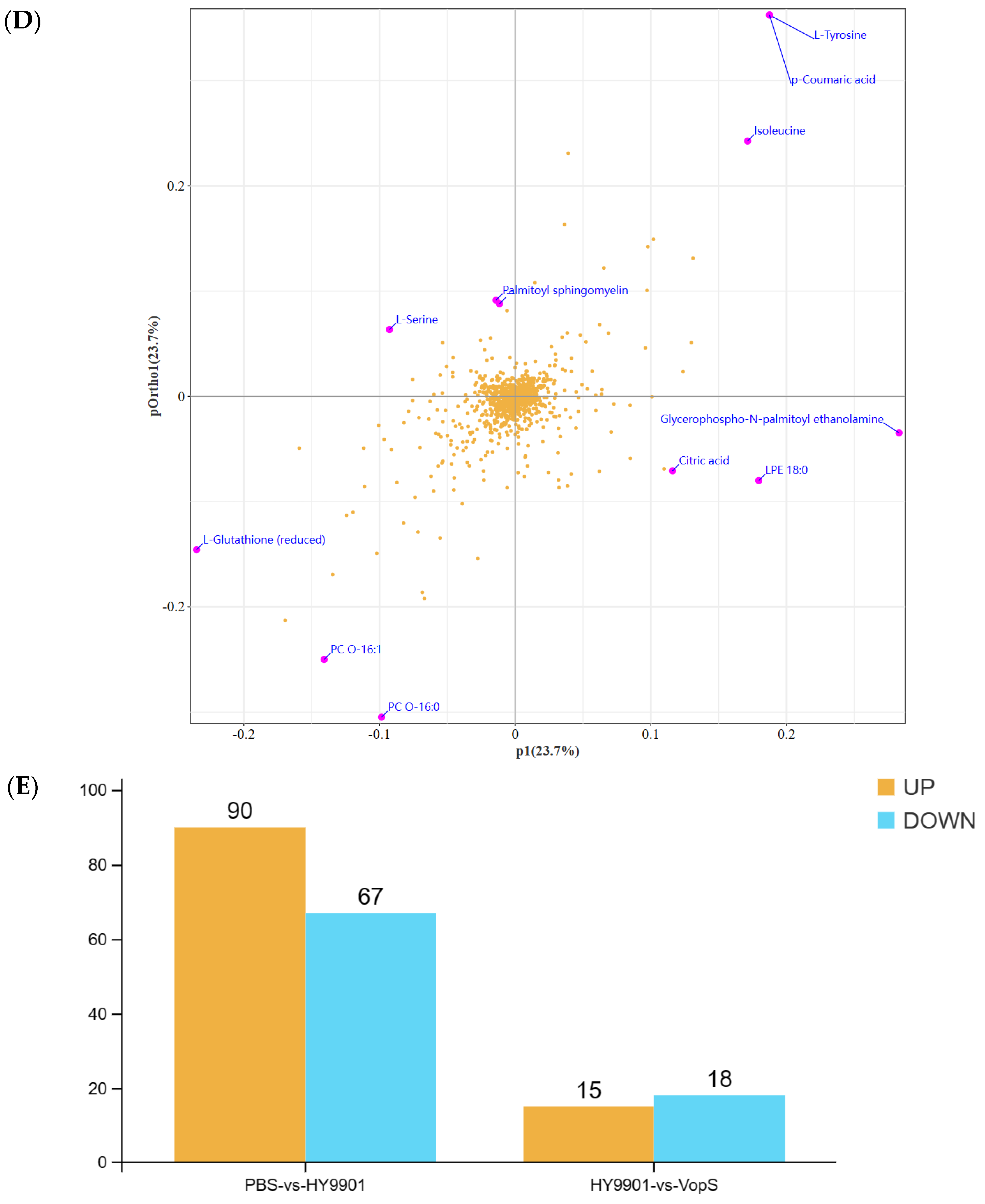 Animals 14 03250 g006b