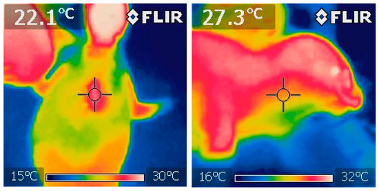 Animals 14 03264 g0a4