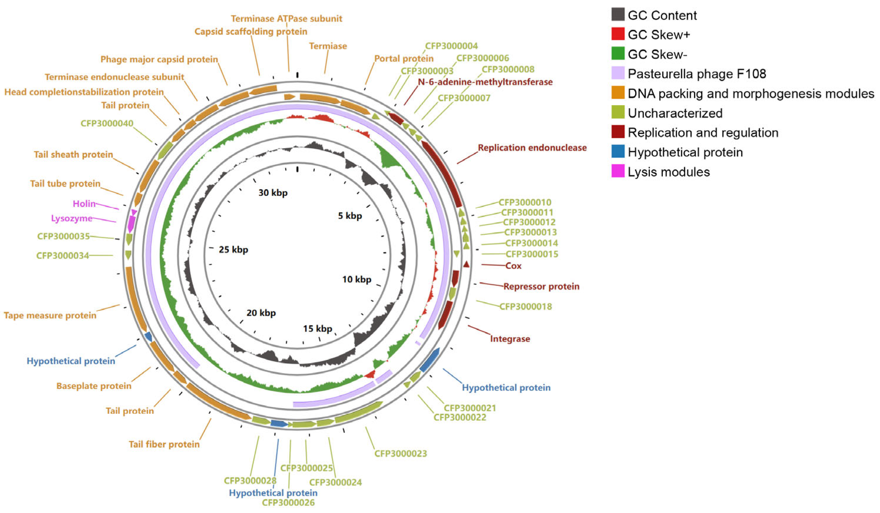 Animals 14 03268 g003