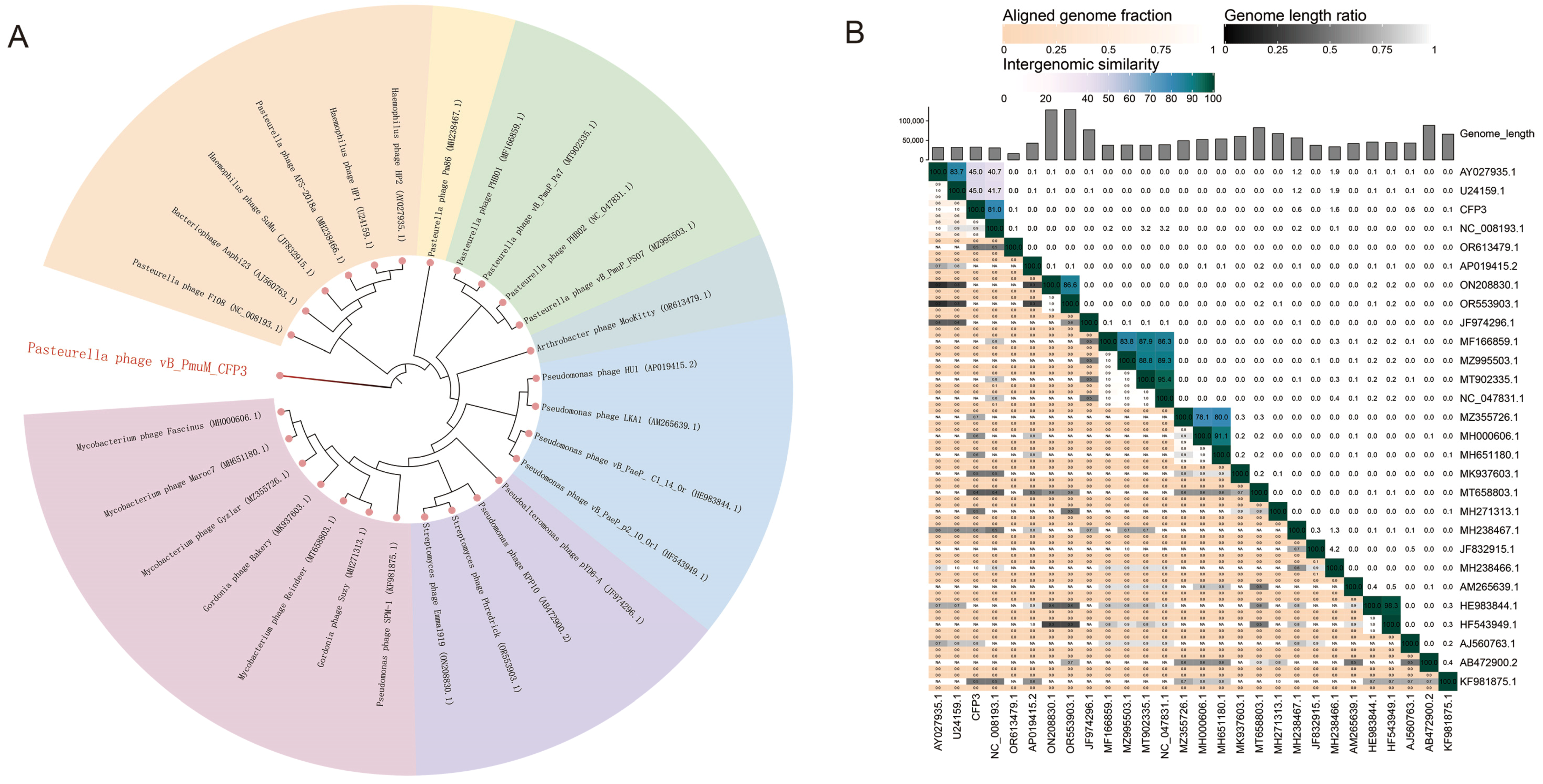 Animals 14 03268 g004