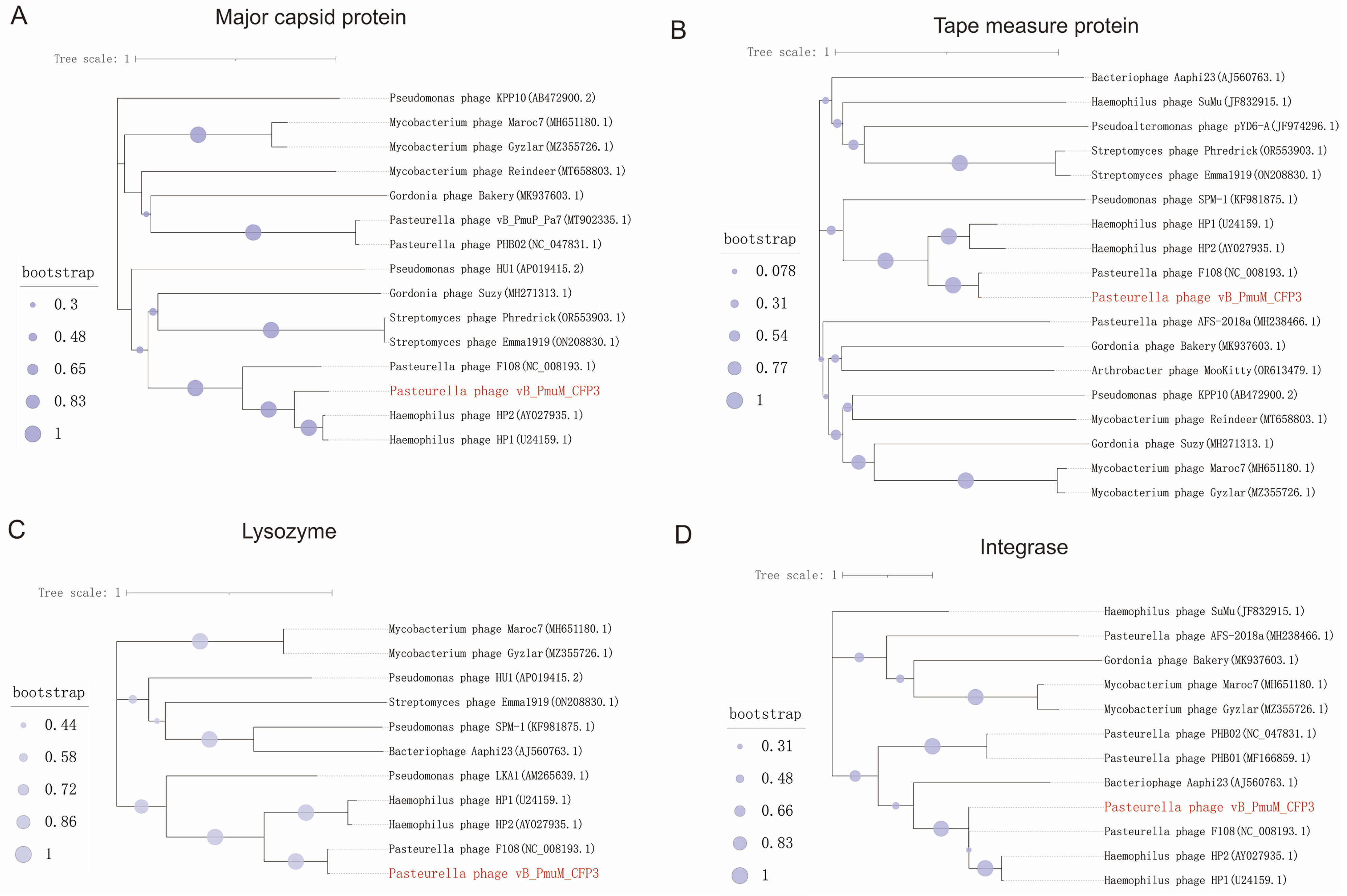 Animals 14 03268 g005
