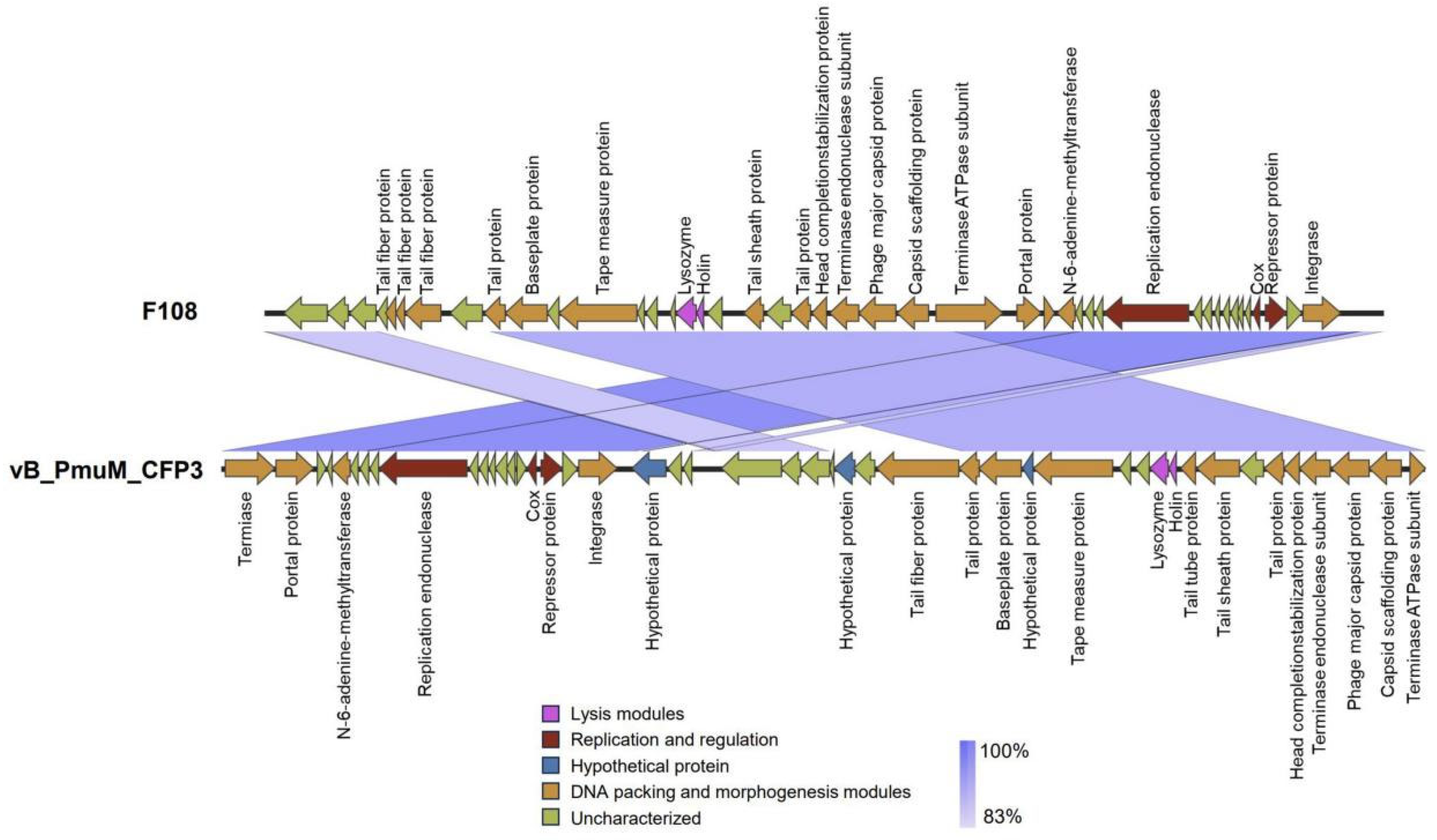 Animals 14 03268 g006
