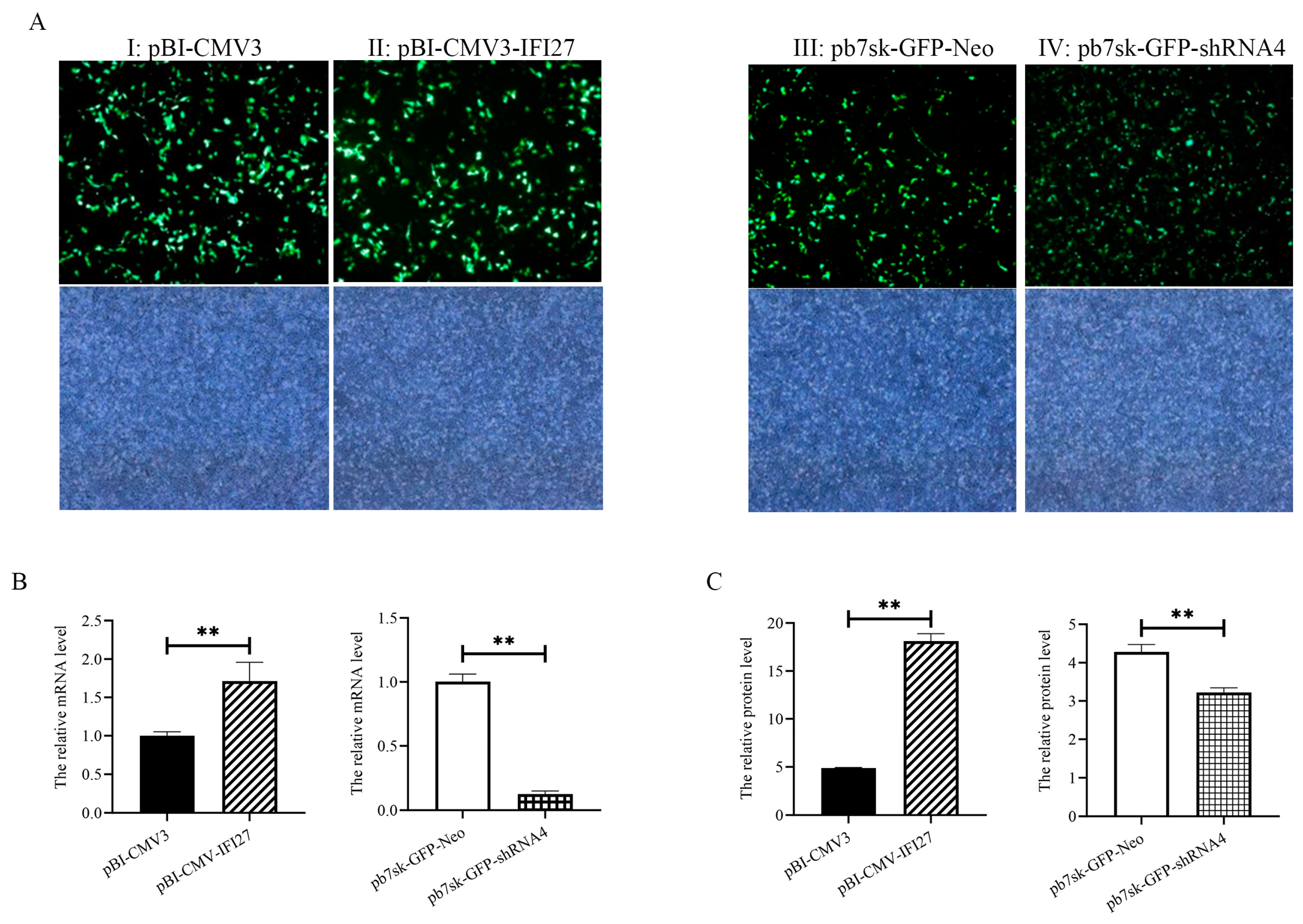 Animals 14 03284 g005