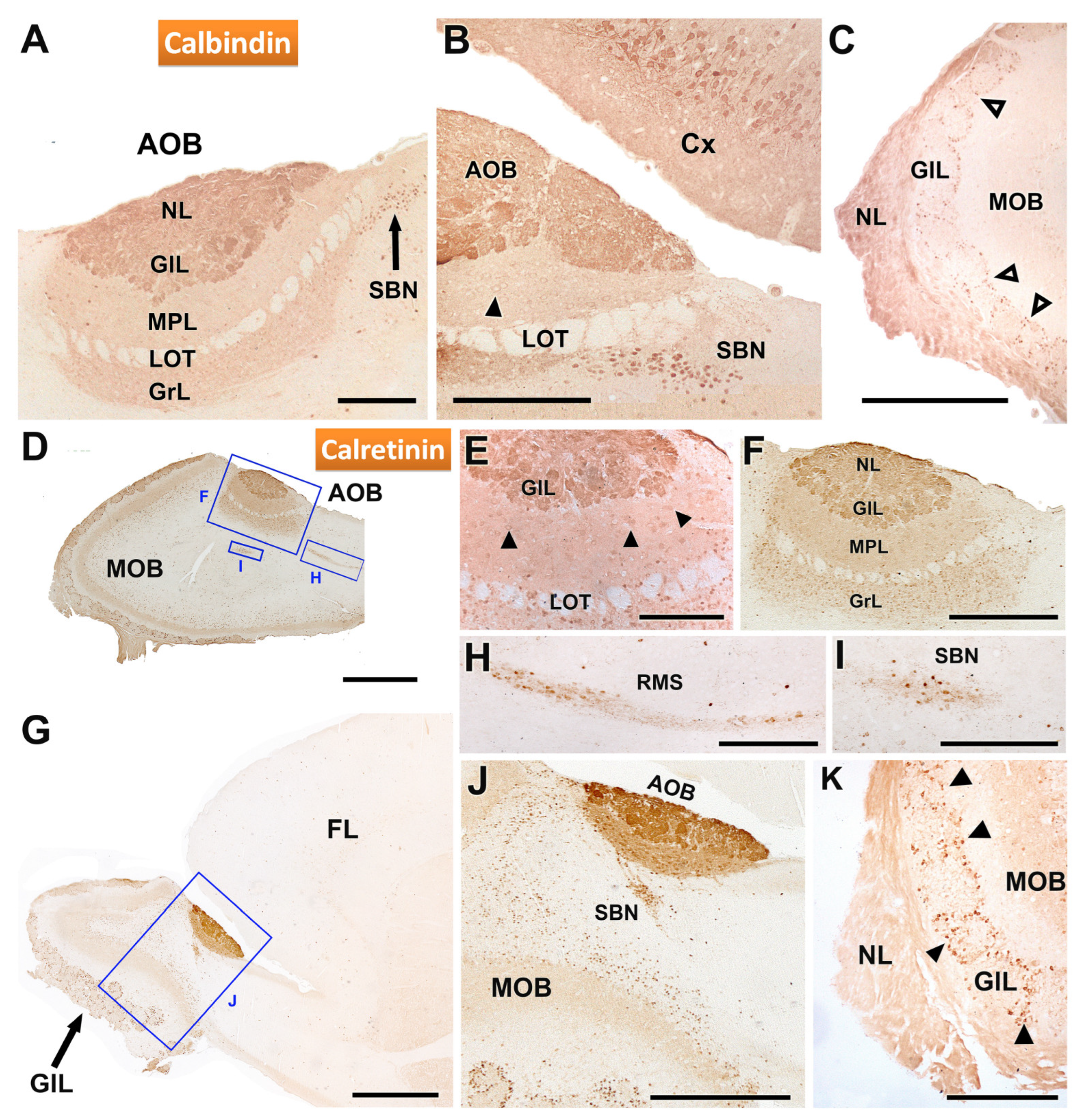 Animals 14 03285 g007 Animals 14 03285 g007