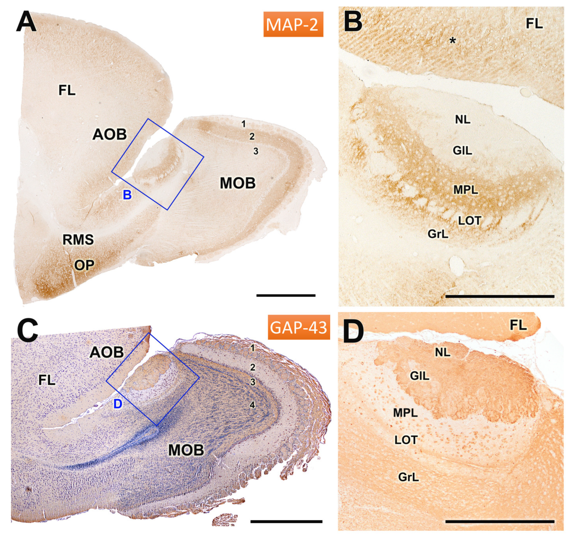 Animals 14 03285 g008 Animals 14 03285 g008