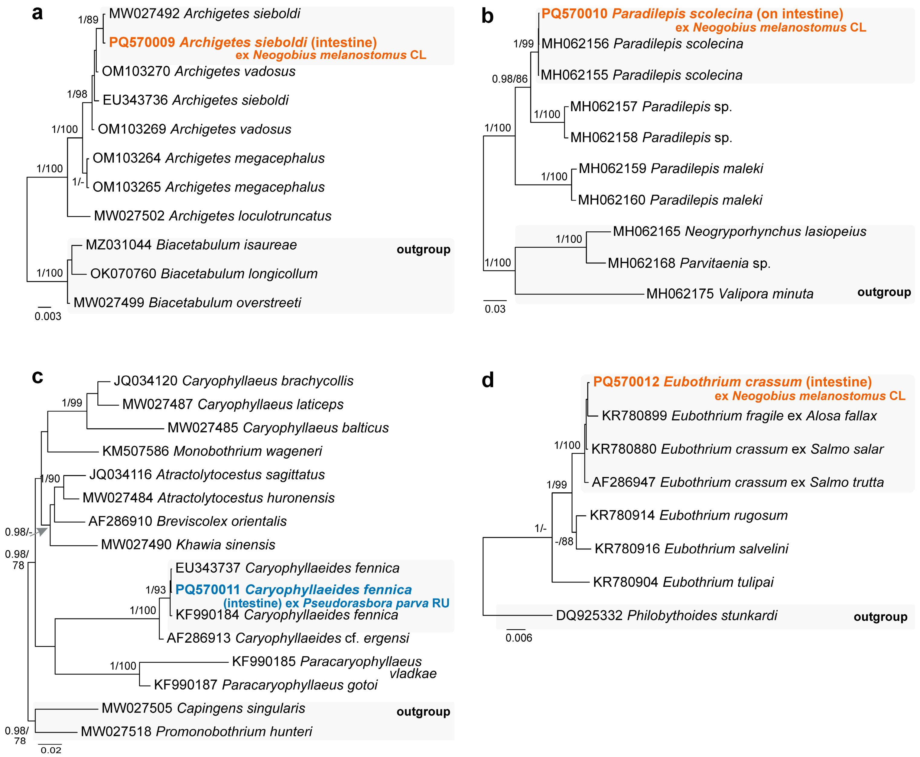 Animals 14 03293 g003