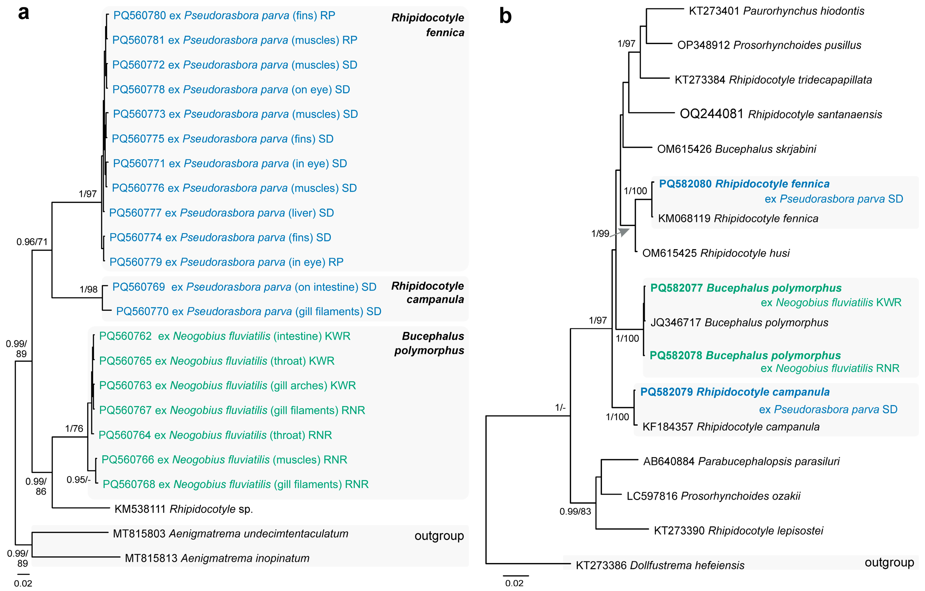 Animals 14 03293 g004