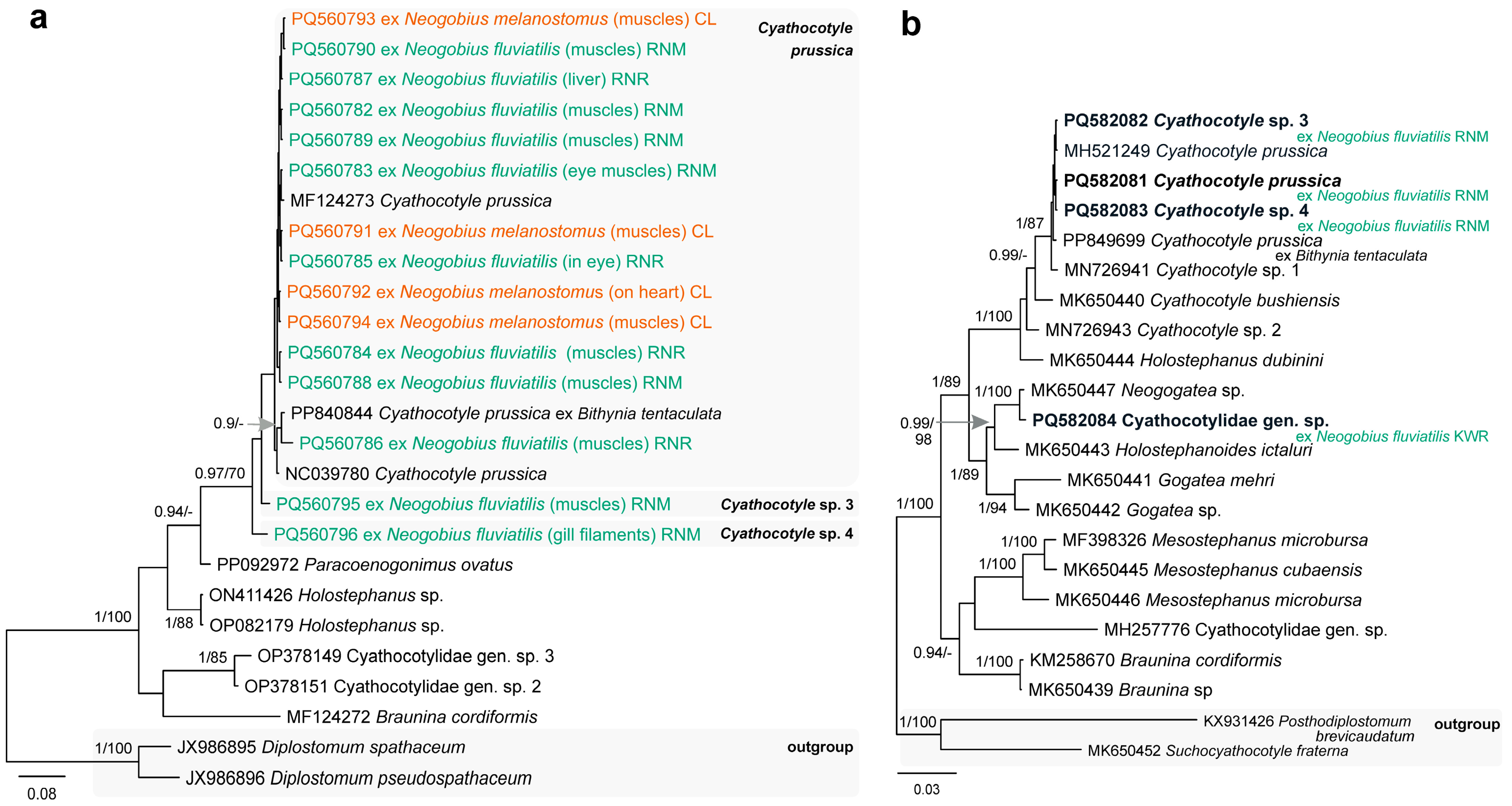 Animals 14 03293 g005